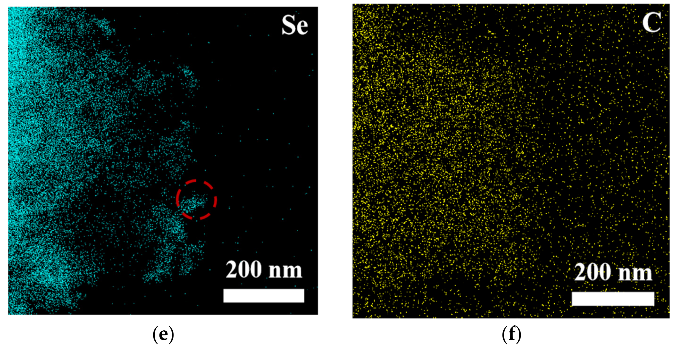 Nanomaterials 15 00294 g003b