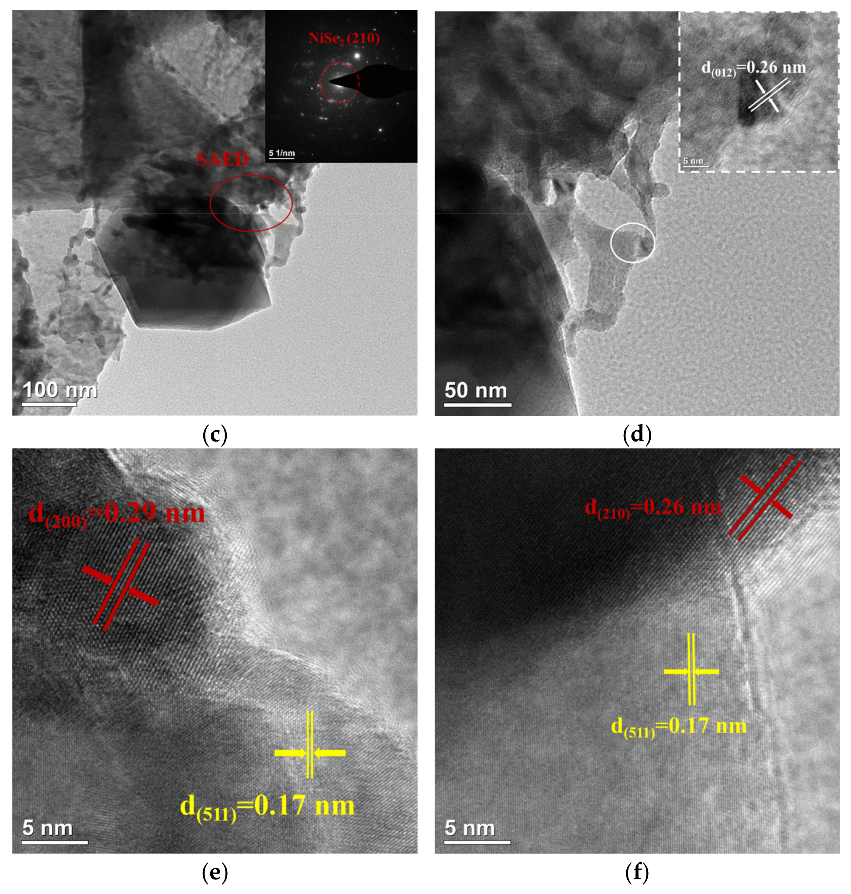 Nanomaterials 15 00294 g004b