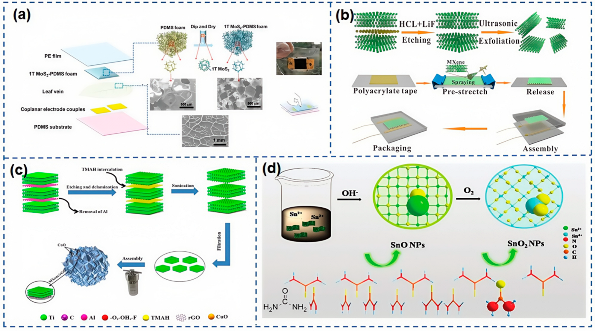 Nanomaterials 15 00298 g008
