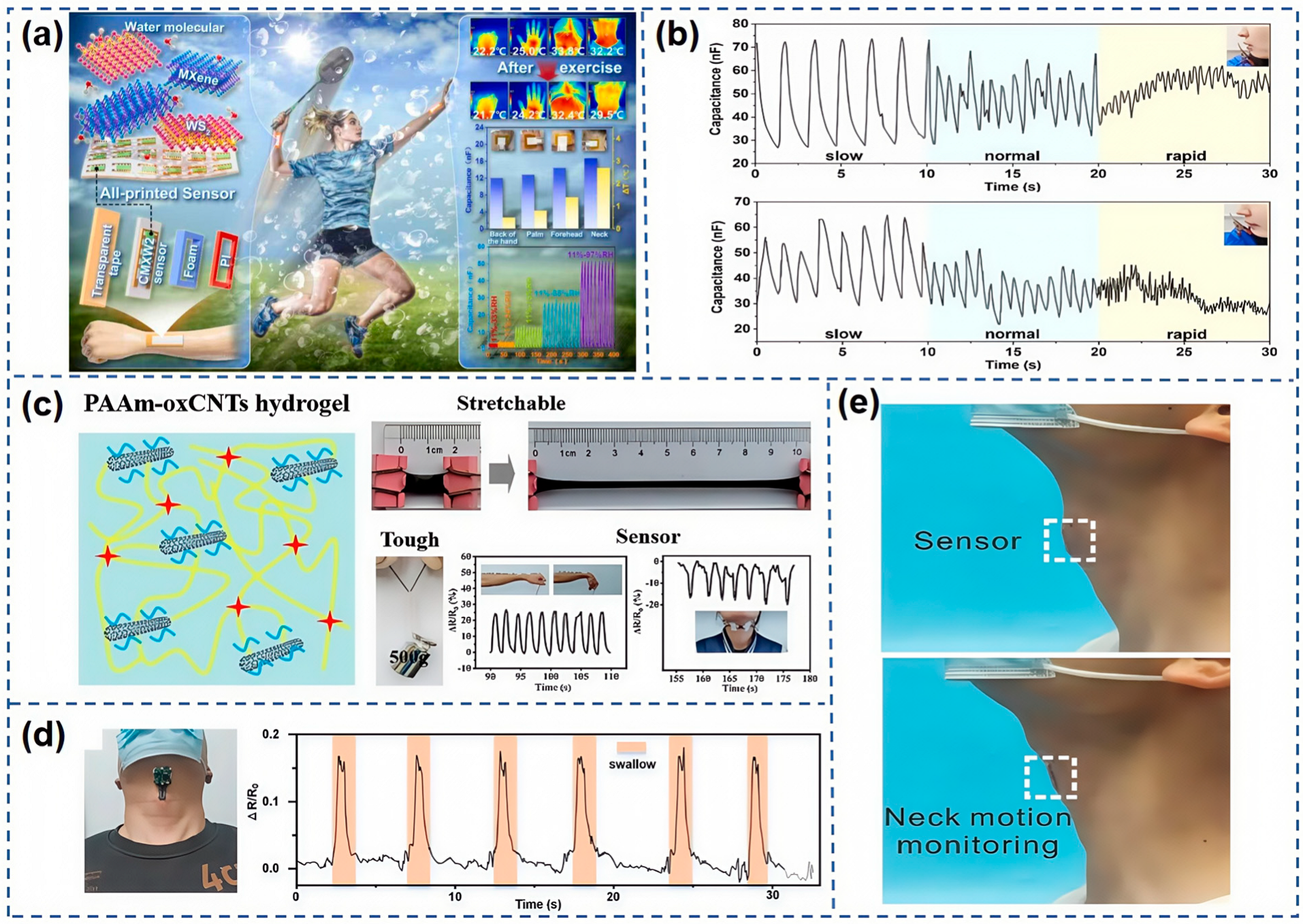 Nanomaterials 15 00298 g011
