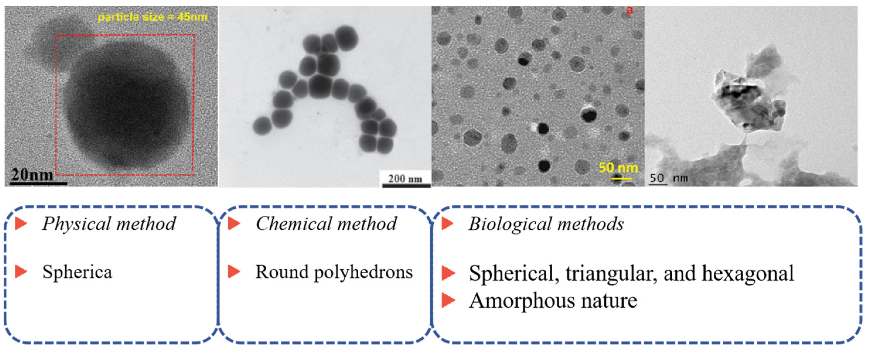 Nanomaterials 15 00301 g004