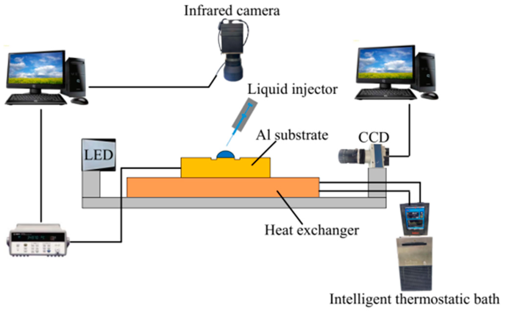 Nanomaterials 15 00306 g001