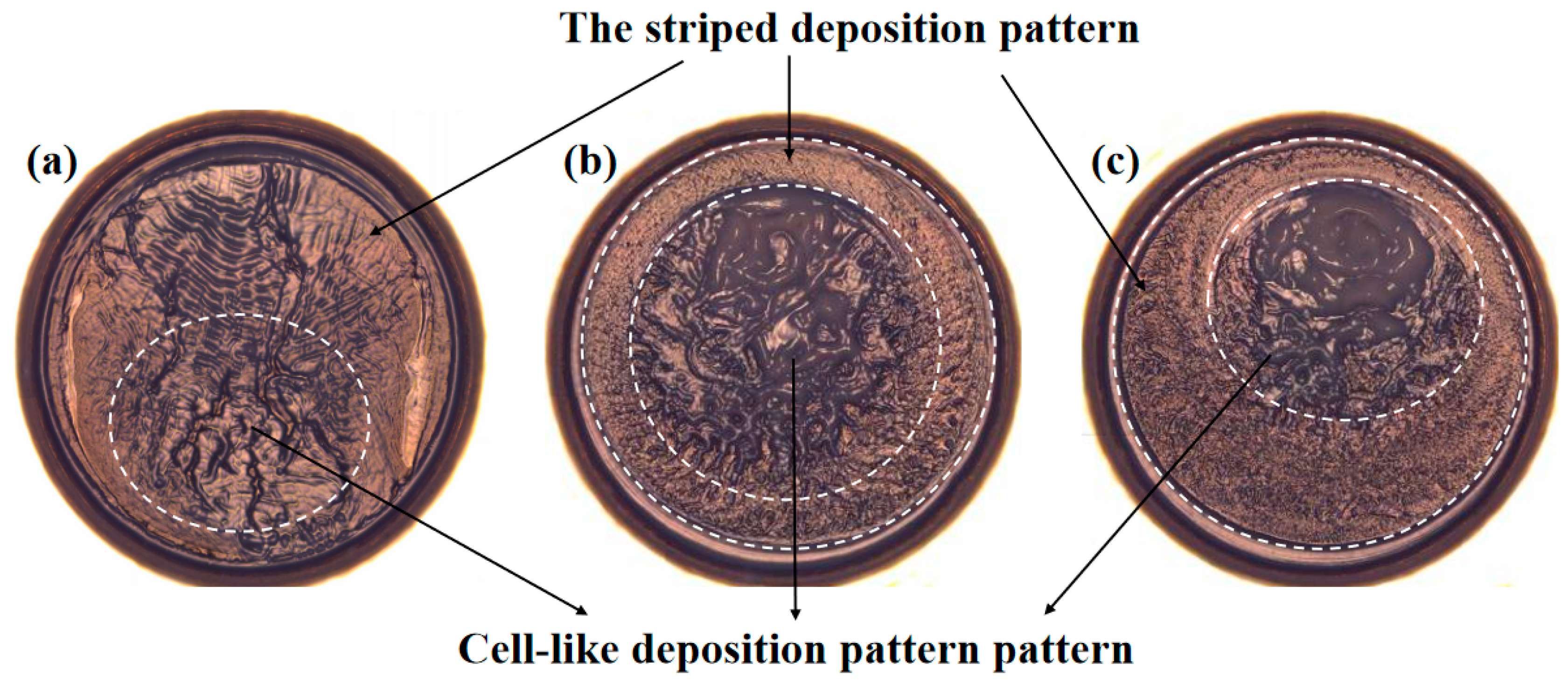 Nanomaterials 15 00306 g010
