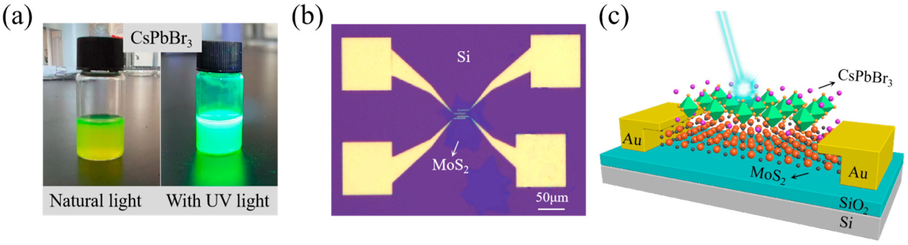 Nanomaterials 15 00307 g001