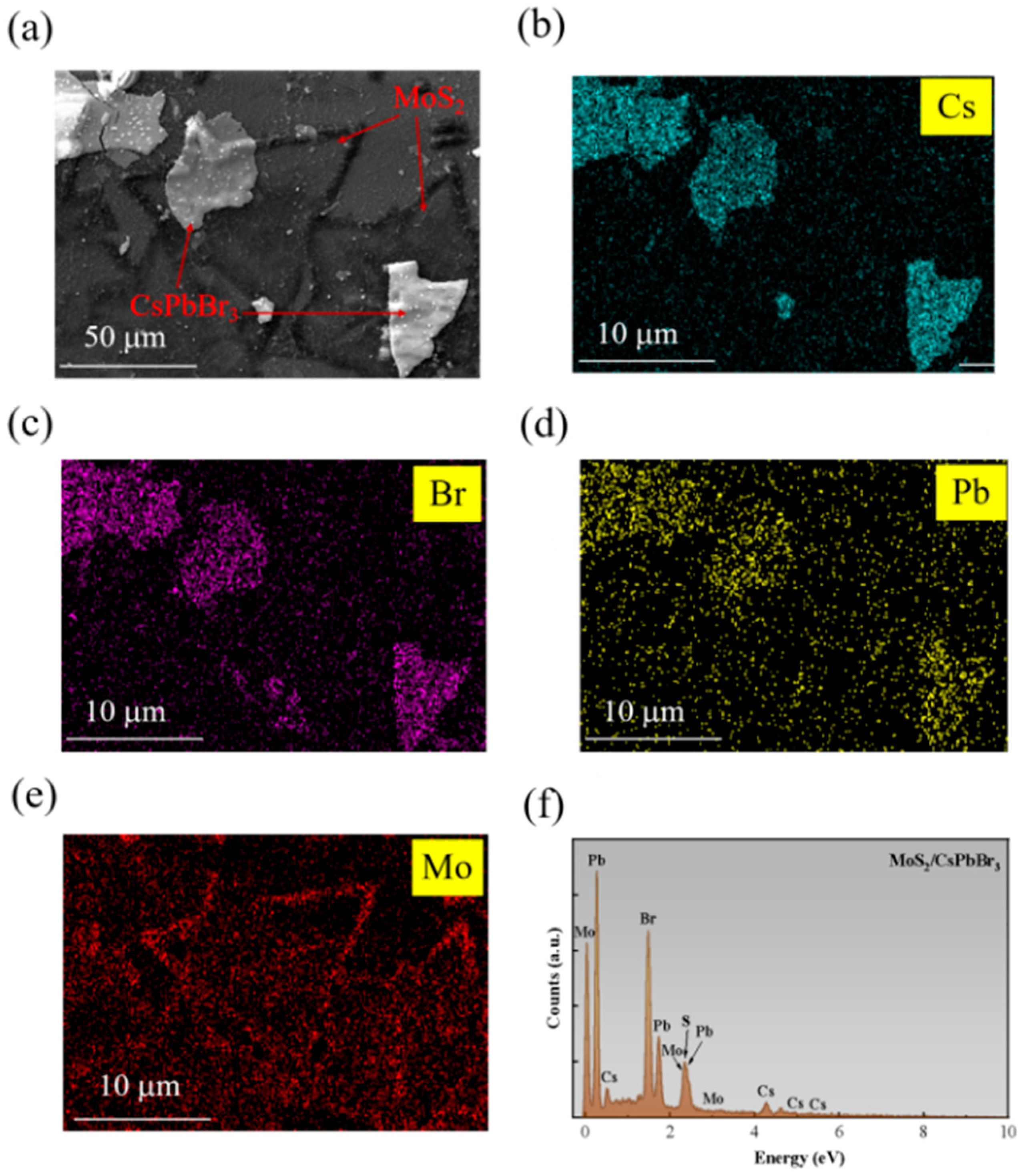 Nanomaterials 15 00307 g003