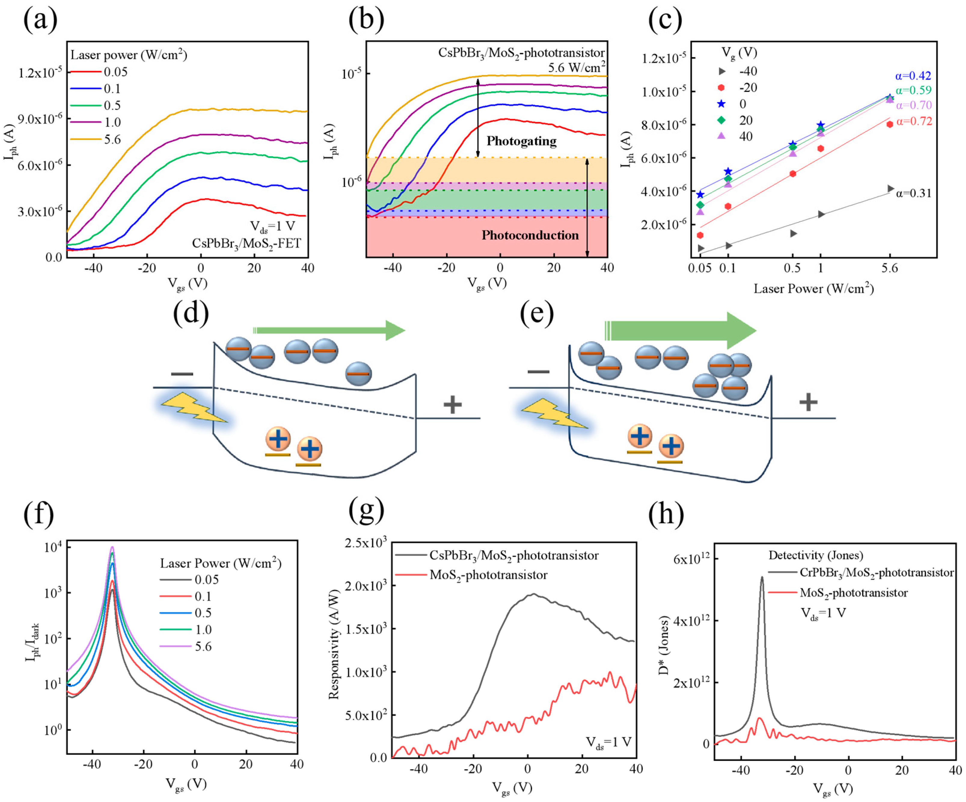 Nanomaterials 15 00307 g006