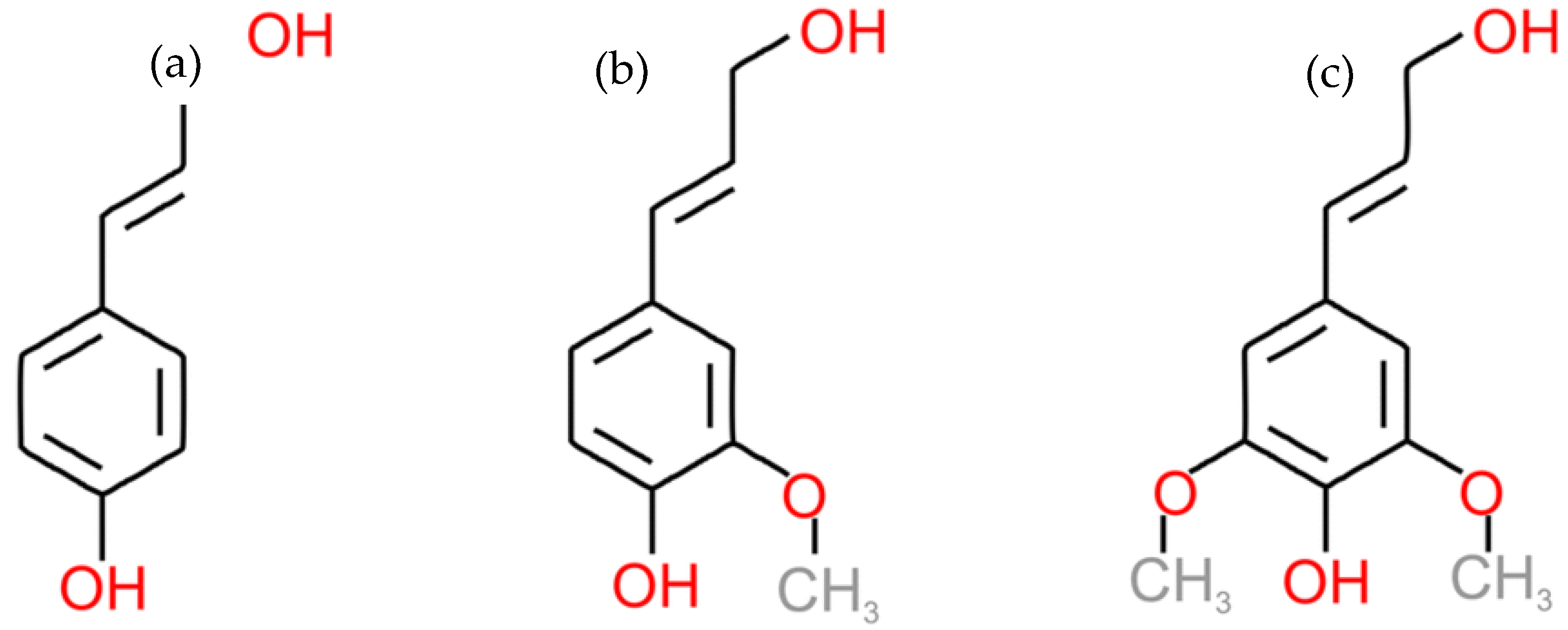 Nanomaterials 15 00309 g001