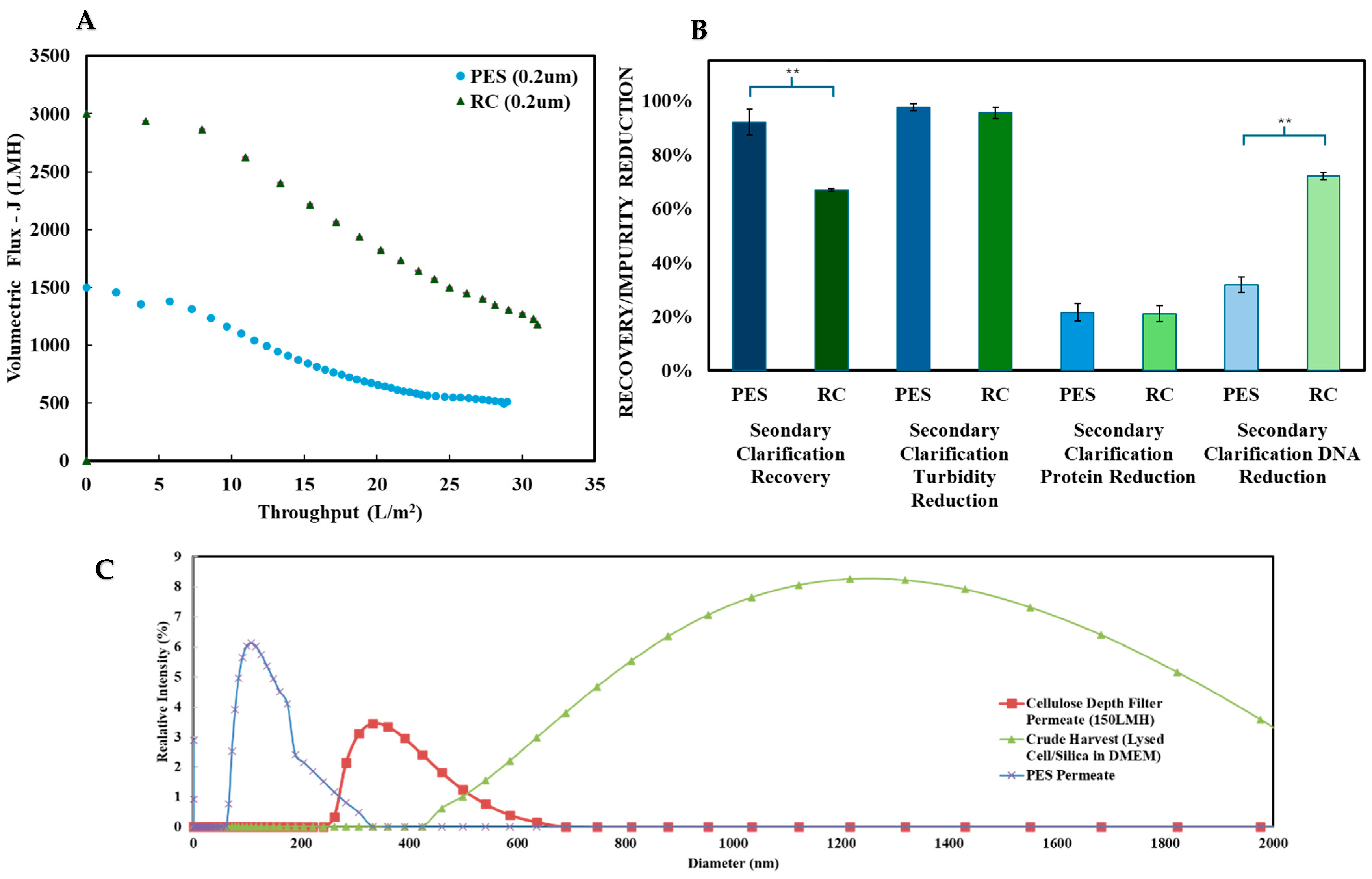 Nanomaterials 15 00310 g004