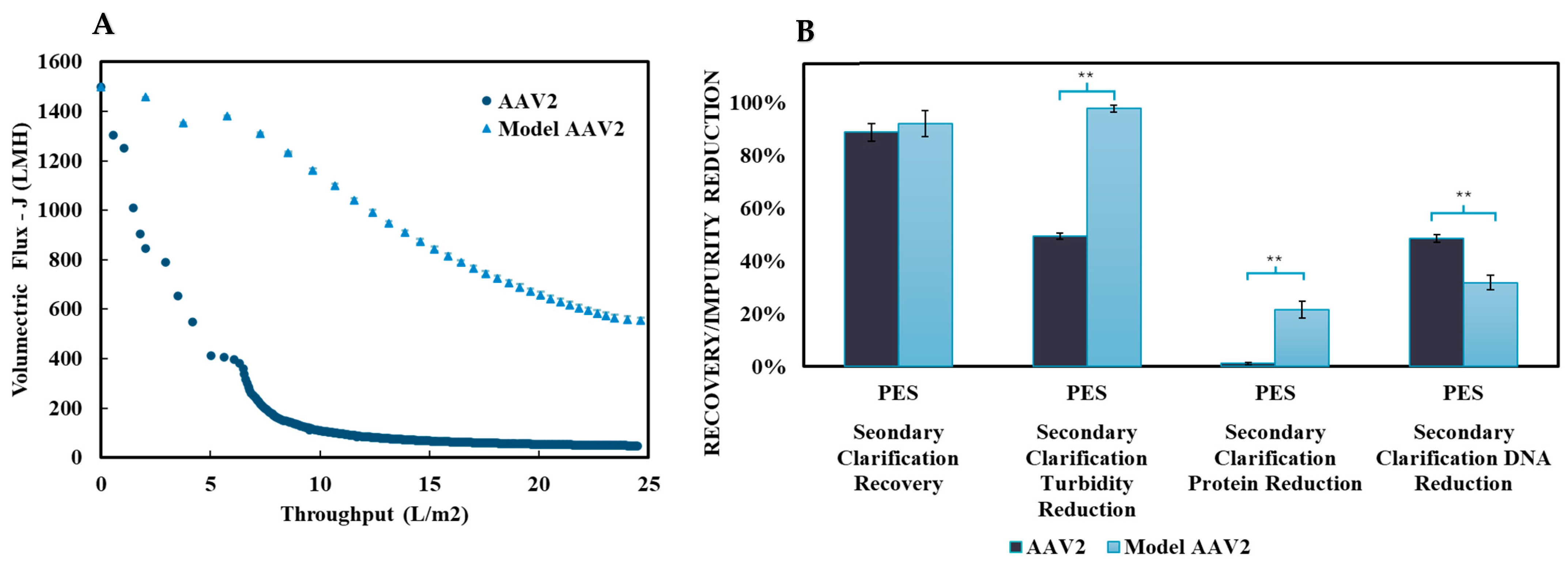 Nanomaterials 15 00310 g005