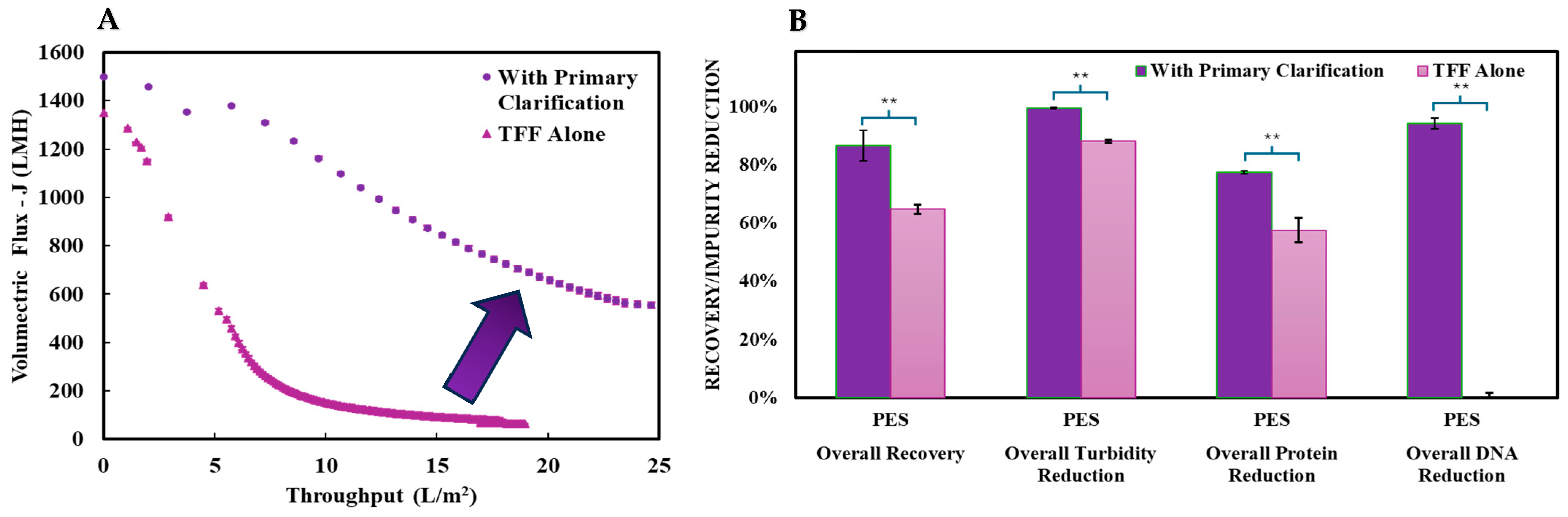 Nanomaterials 15 00310 g006