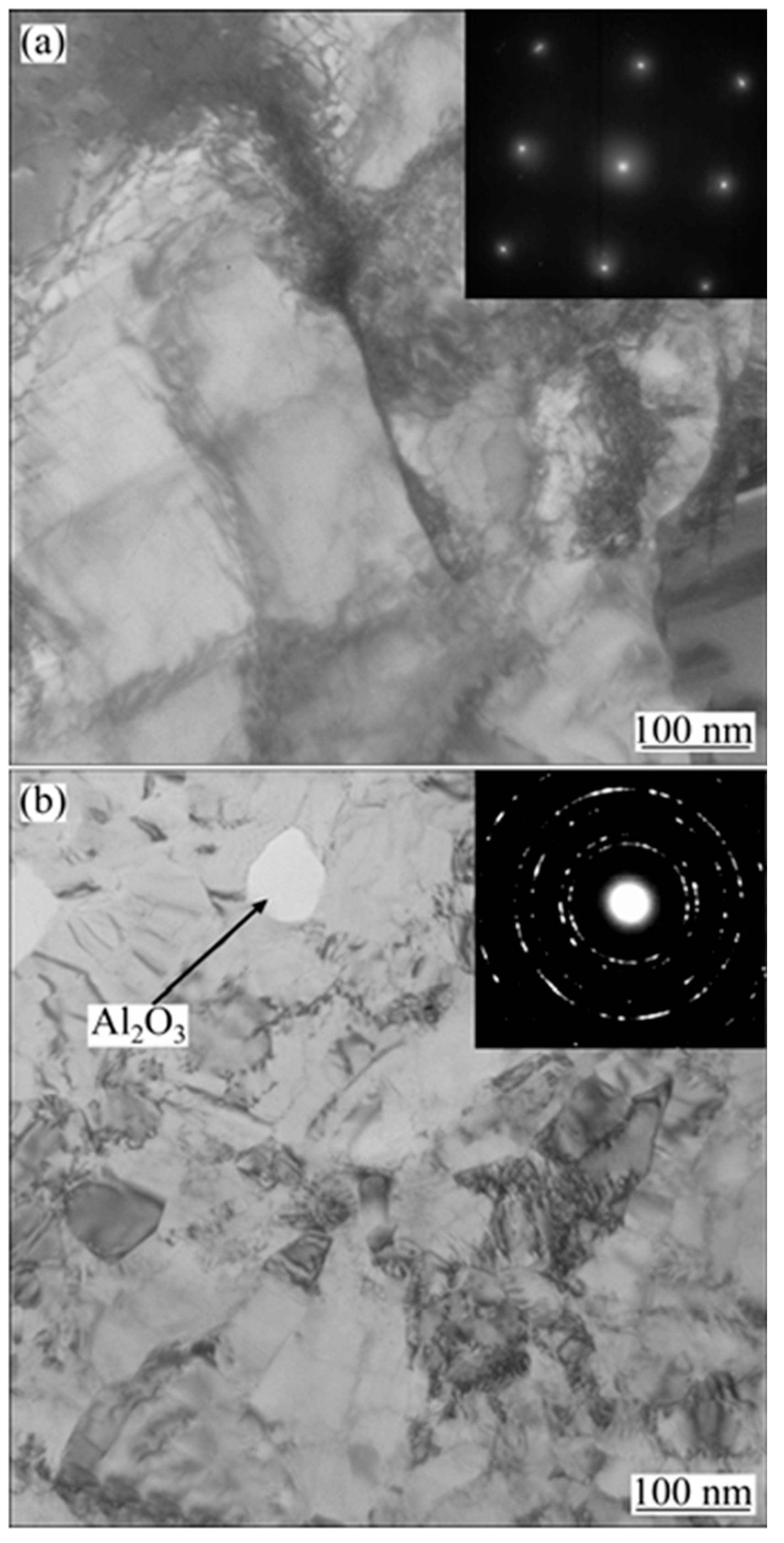 Nanomaterials 15 00312 g010 Nanomaterials 15 00312 g010