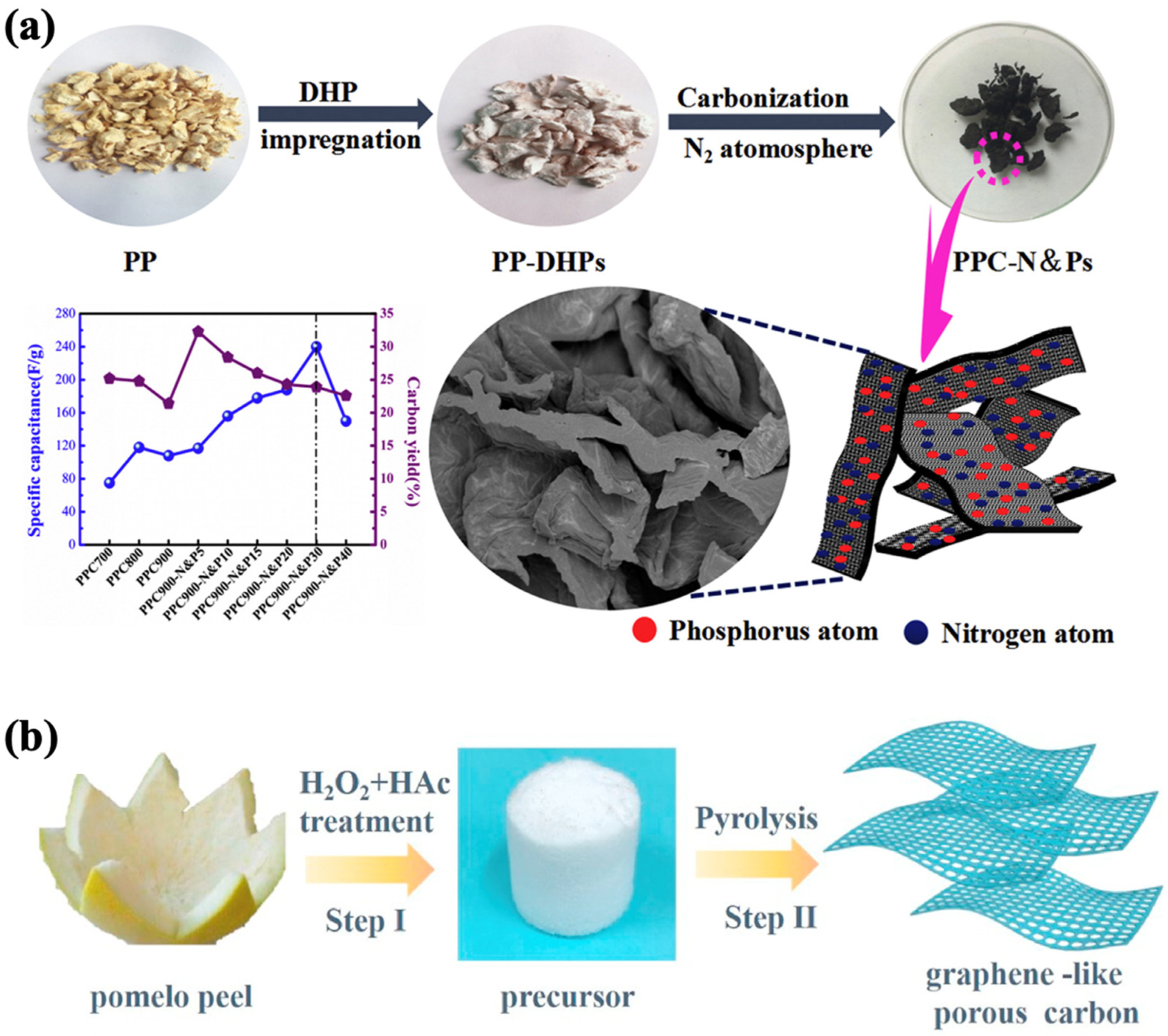 Nanomaterials 15 00315 g005