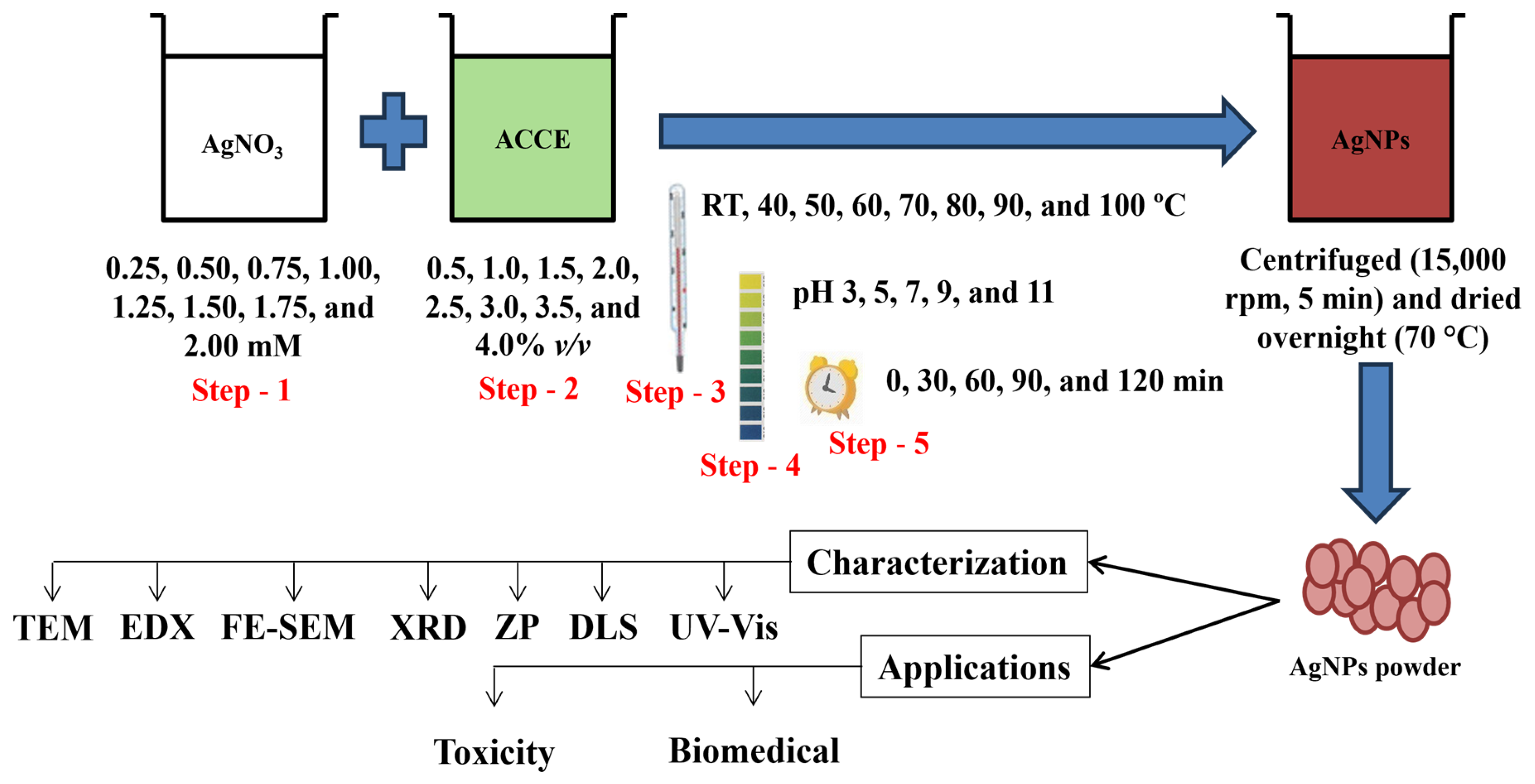 Nanomaterials 15 00328 g001