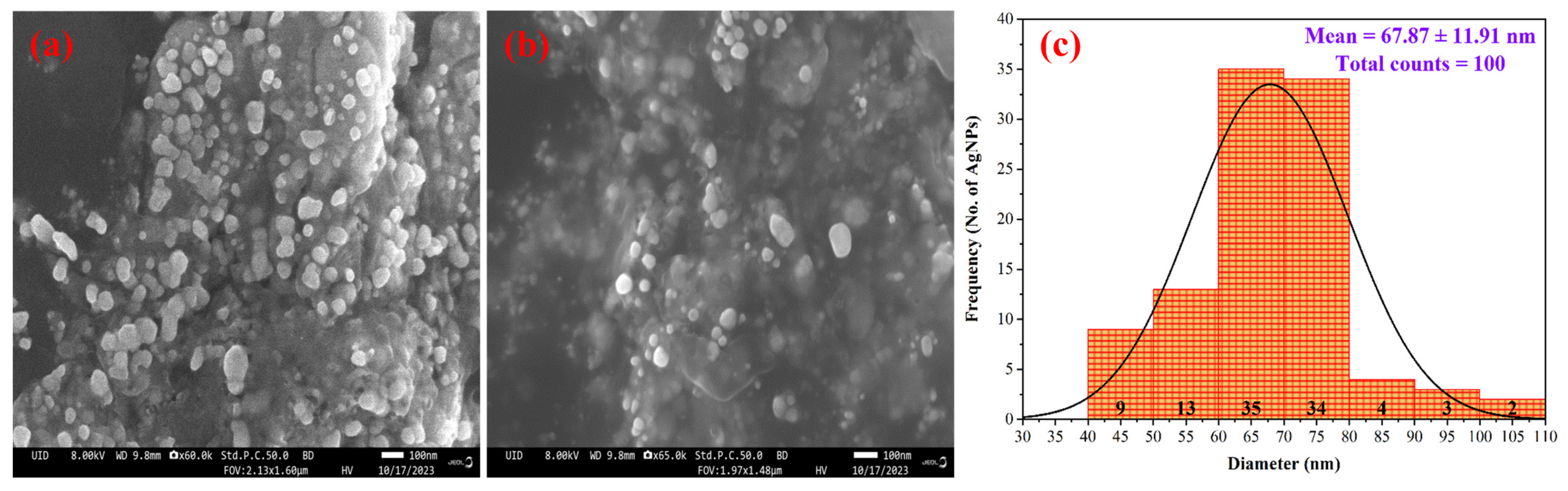 Nanomaterials 15 00328 g009