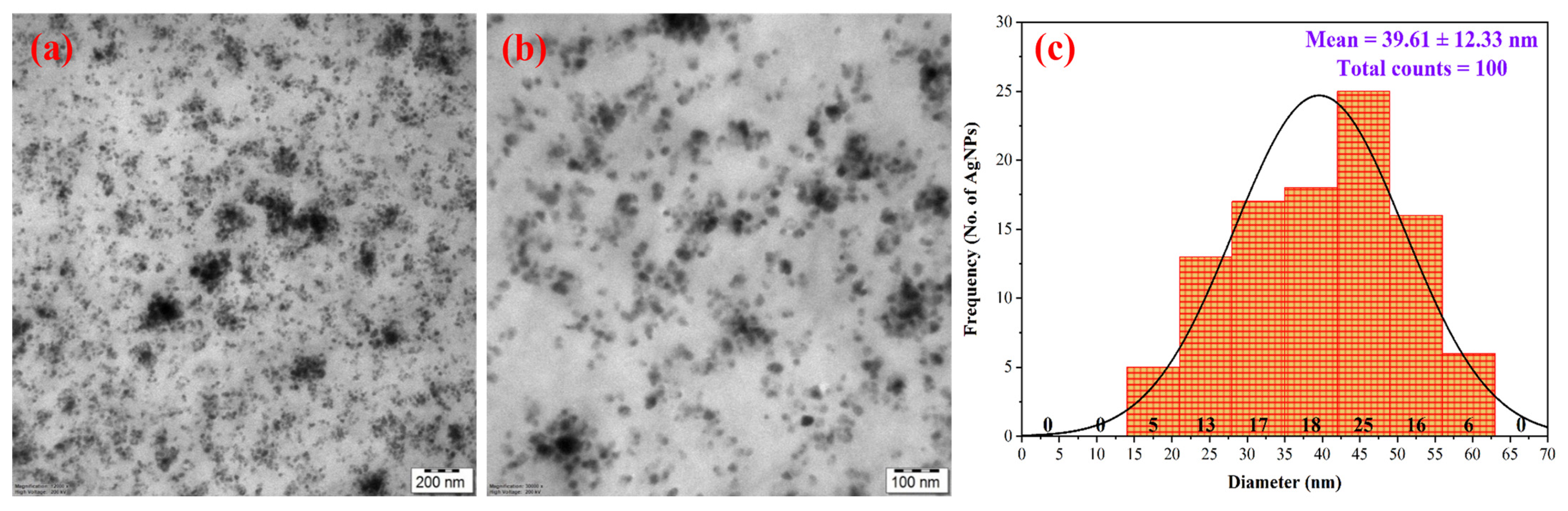Nanomaterials 15 00328 g010