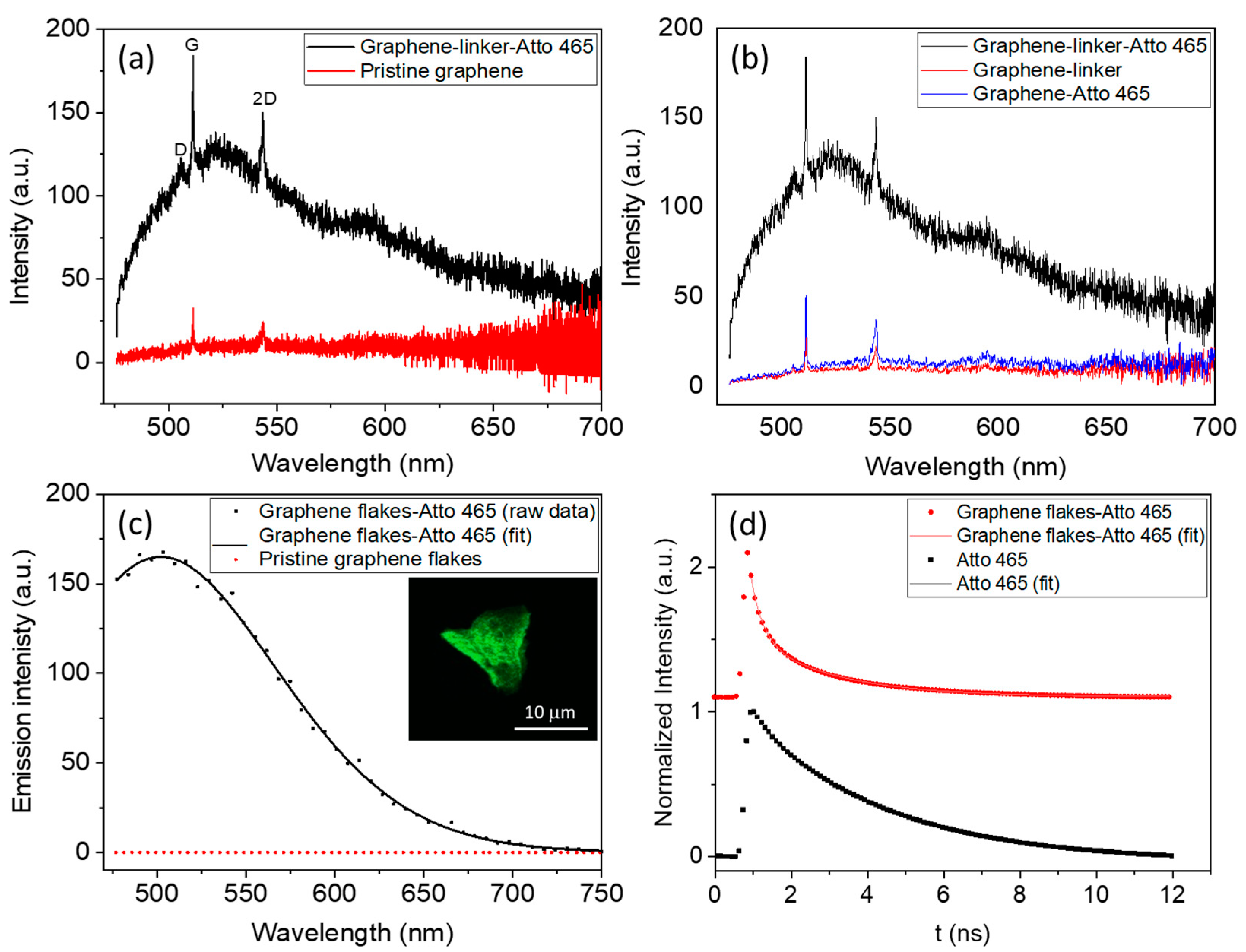 Nanomaterials 15 00329 g004