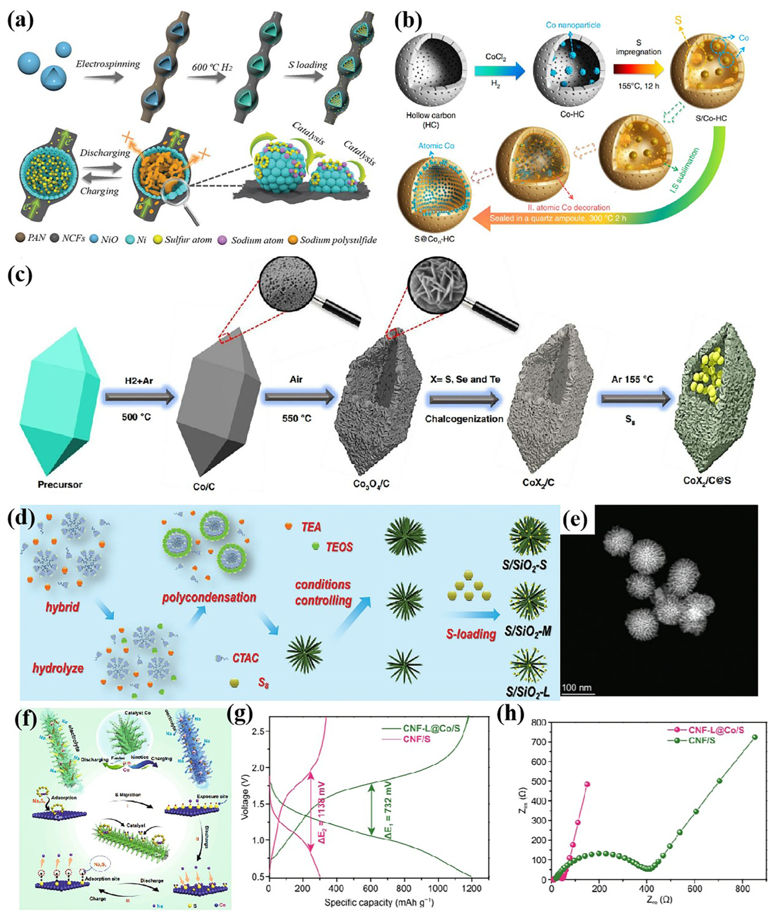 Nanomaterials 15 00330 g002
