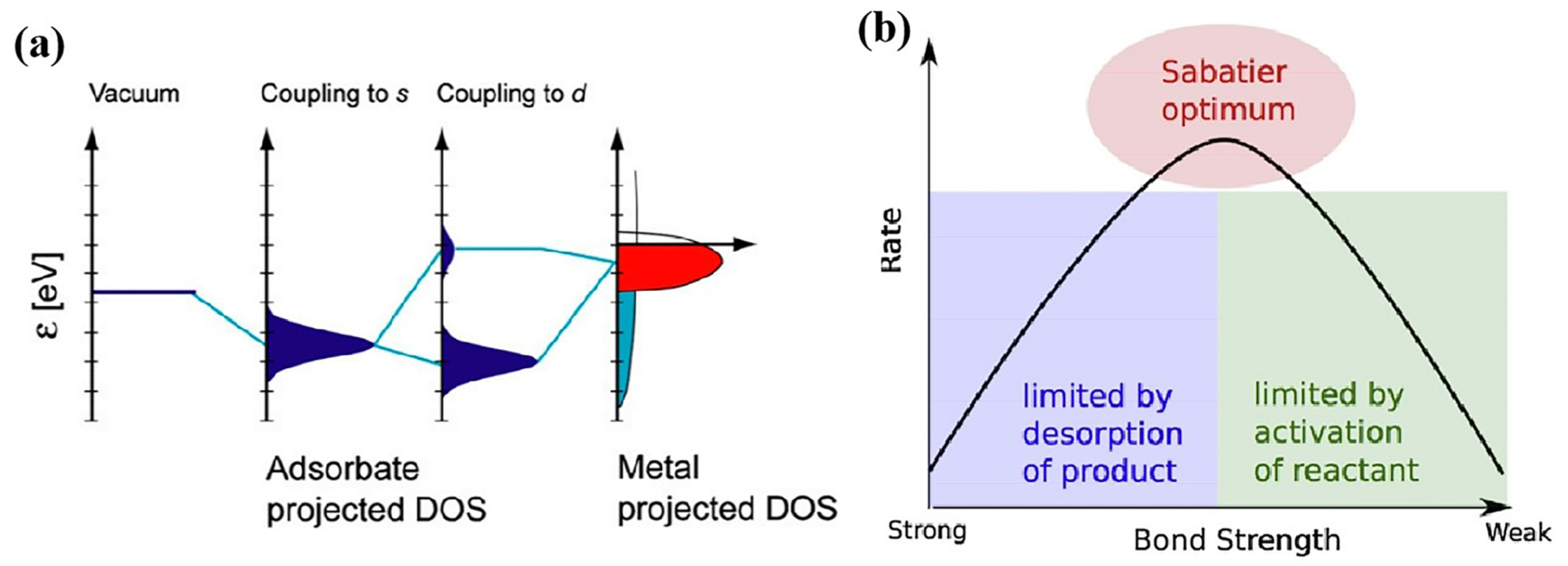 Nanomaterials 15 00330 g003