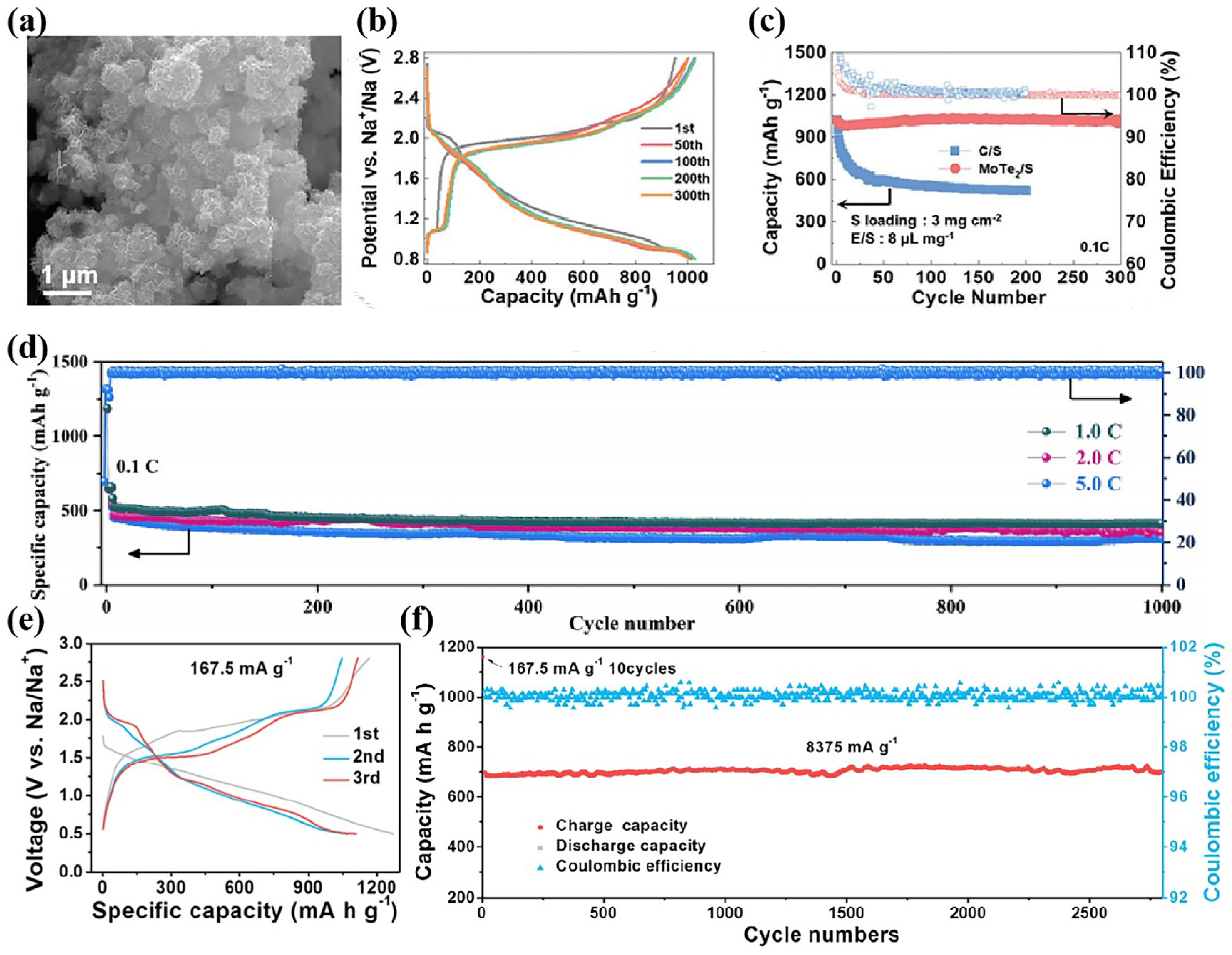 Nanomaterials 15 00330 g004