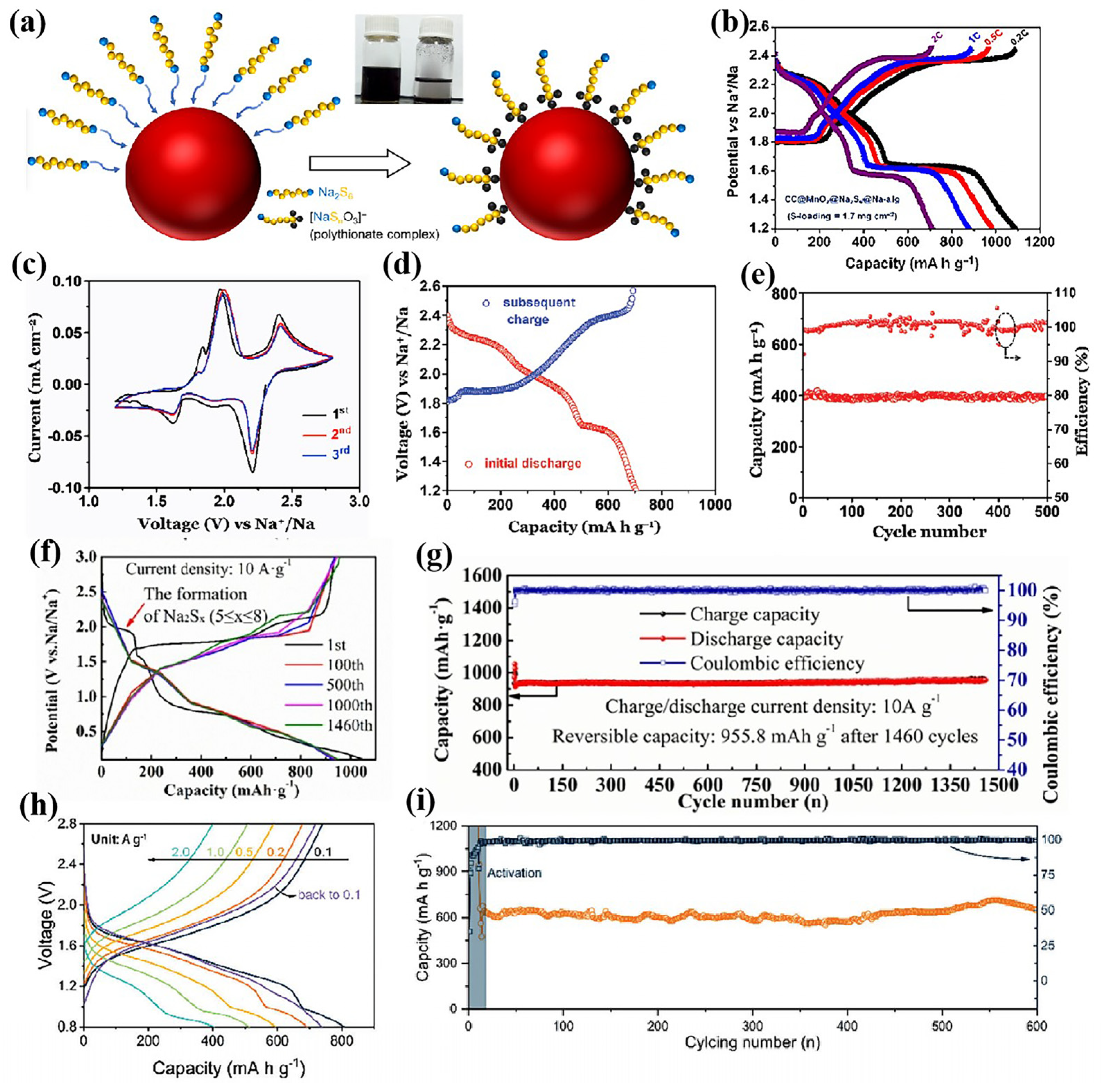 Nanomaterials 15 00330 g005