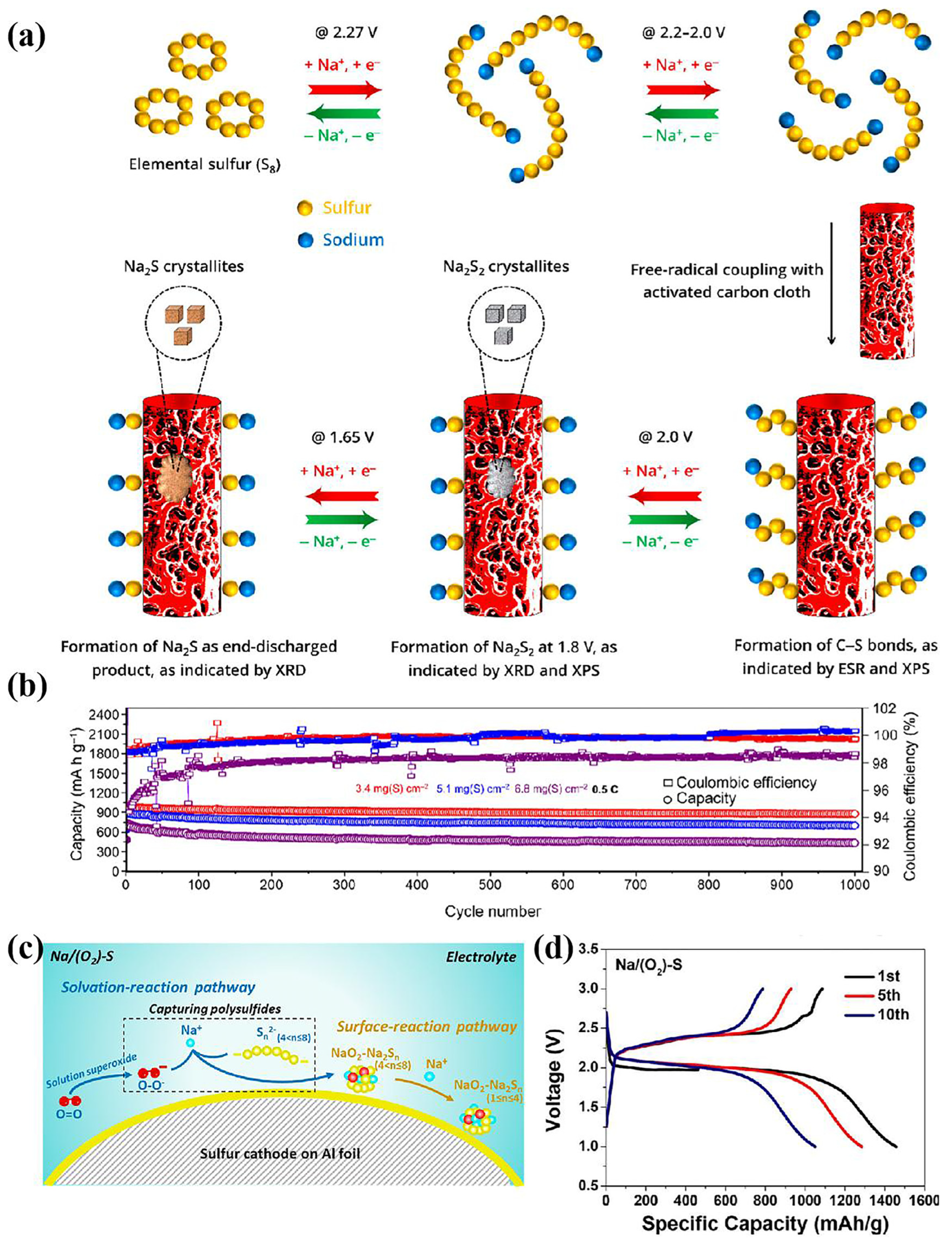Nanomaterials 15 00330 g013
