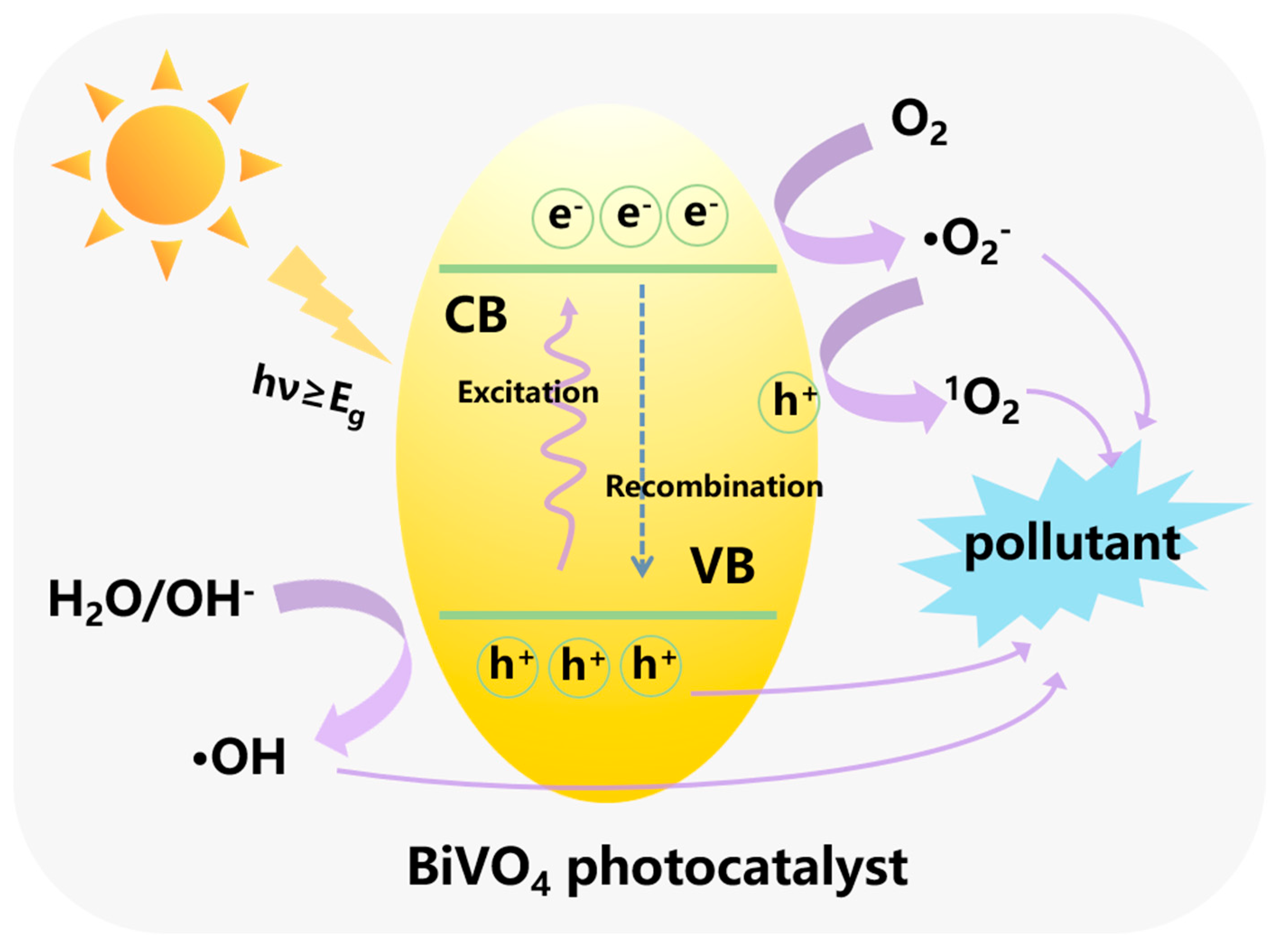 Nanomaterials 15 00331 g002