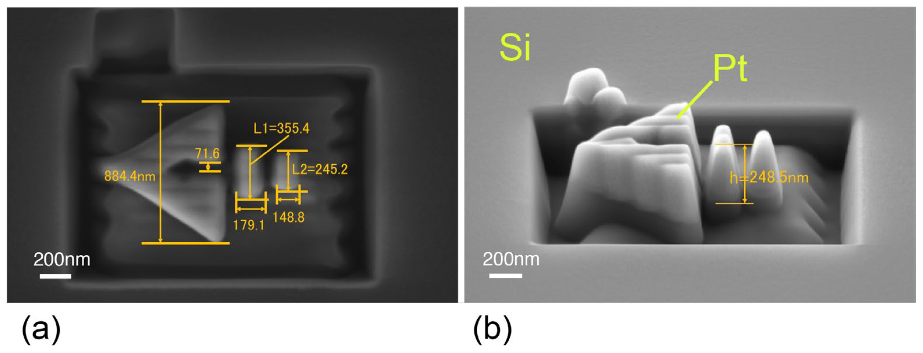 Nanomaterials 15 00335 g004