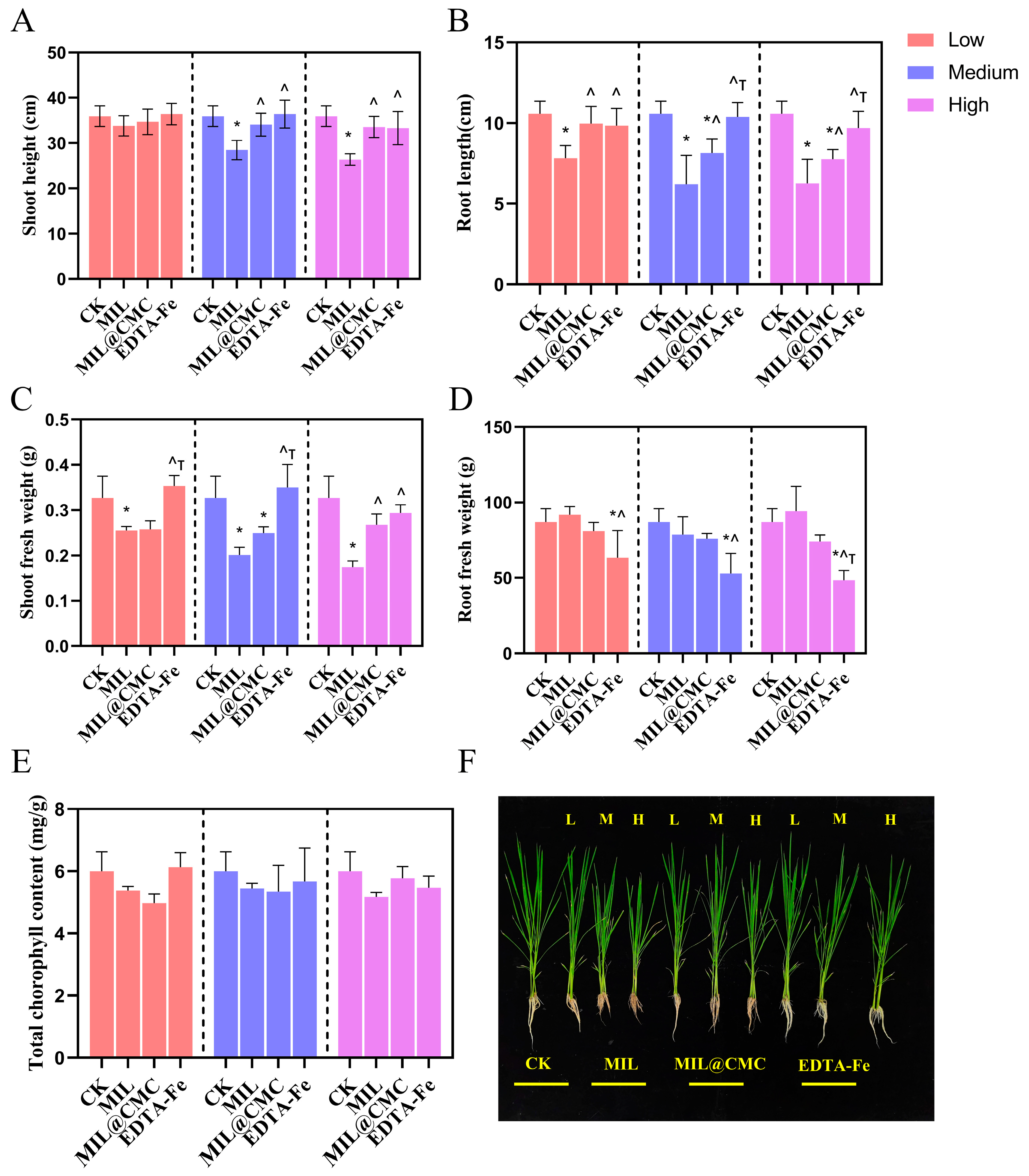 Nanomaterials 15 00336 g003