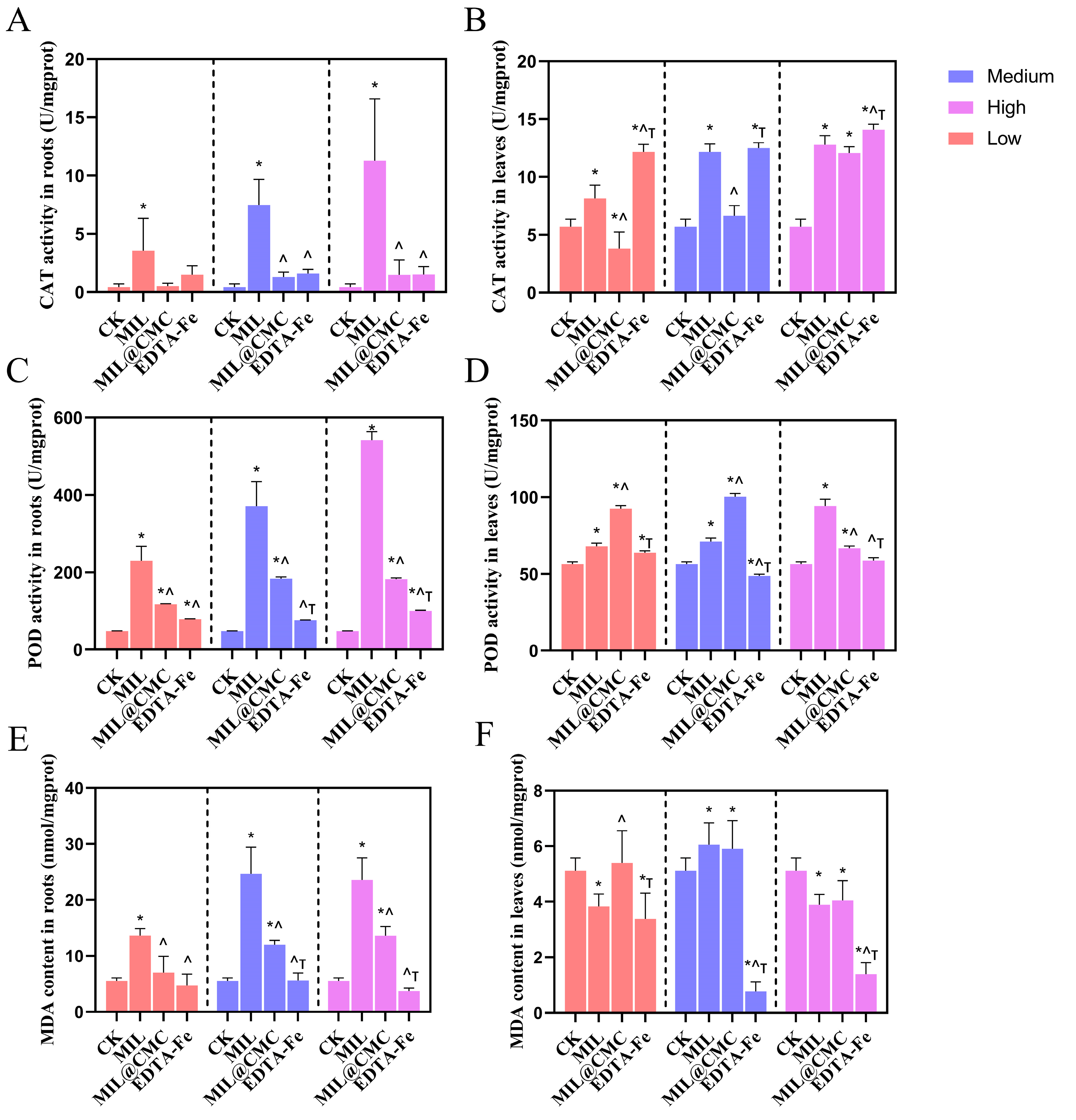 Nanomaterials 15 00336 g005