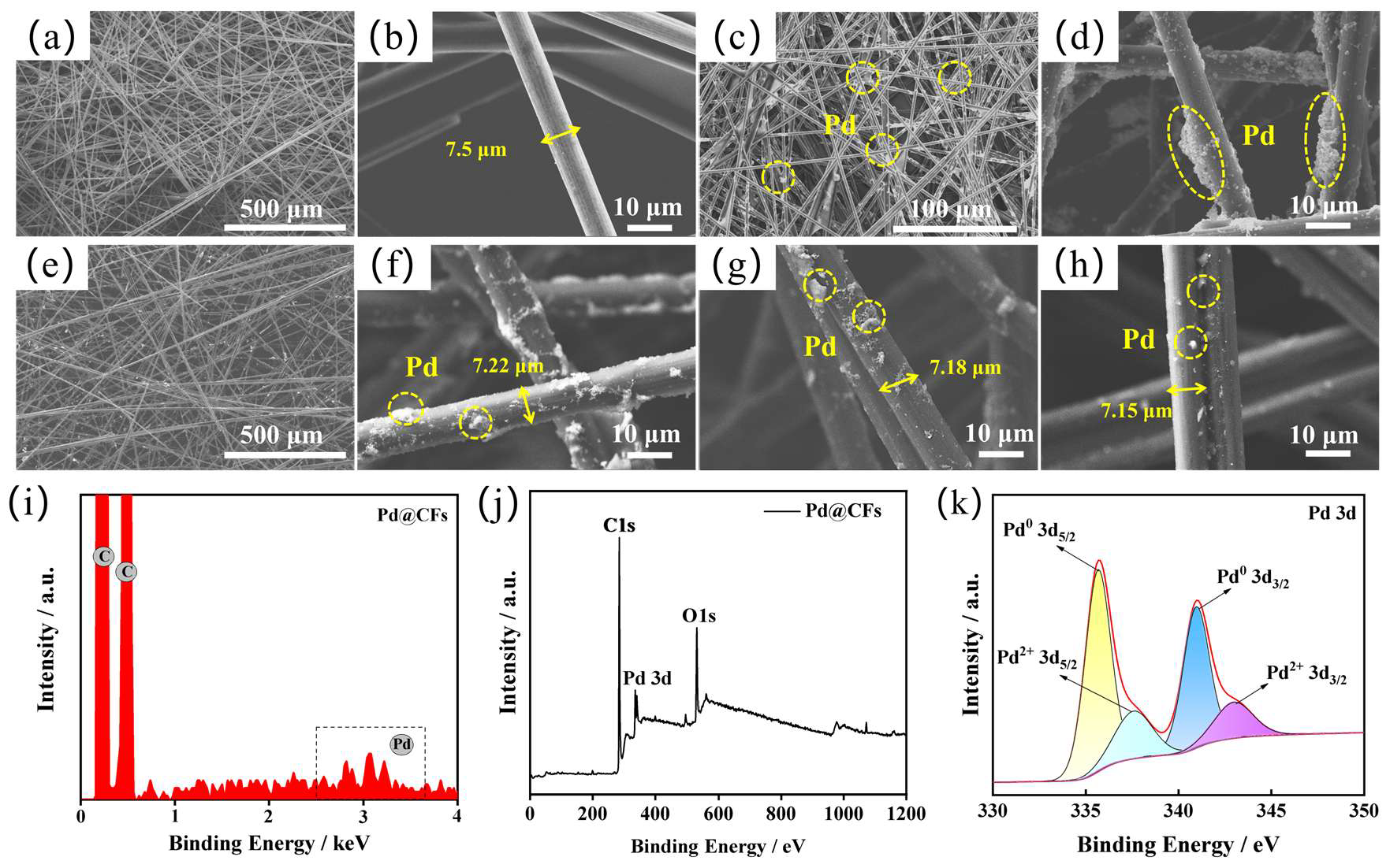 Nanomaterials 15 00338 g003