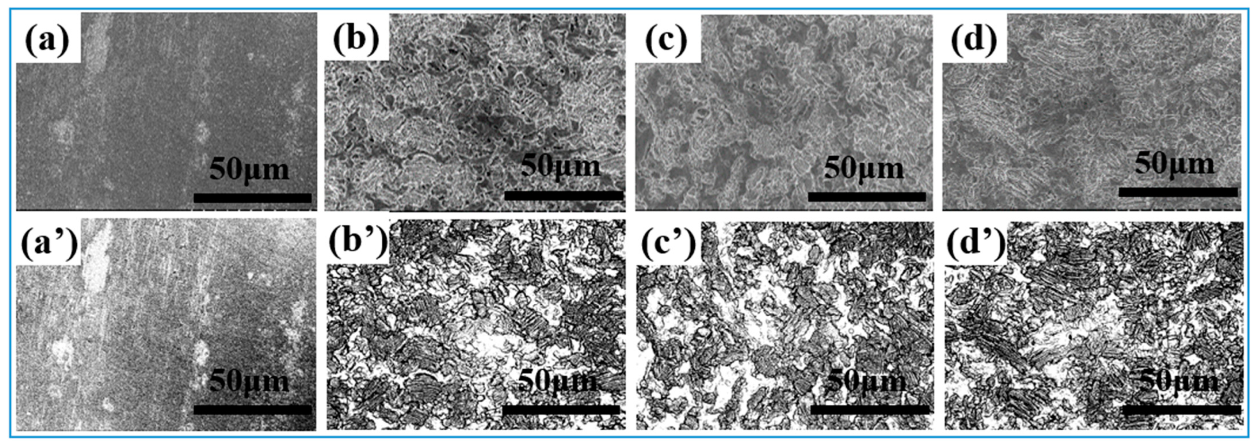 Nanomaterials 15 00340 g004