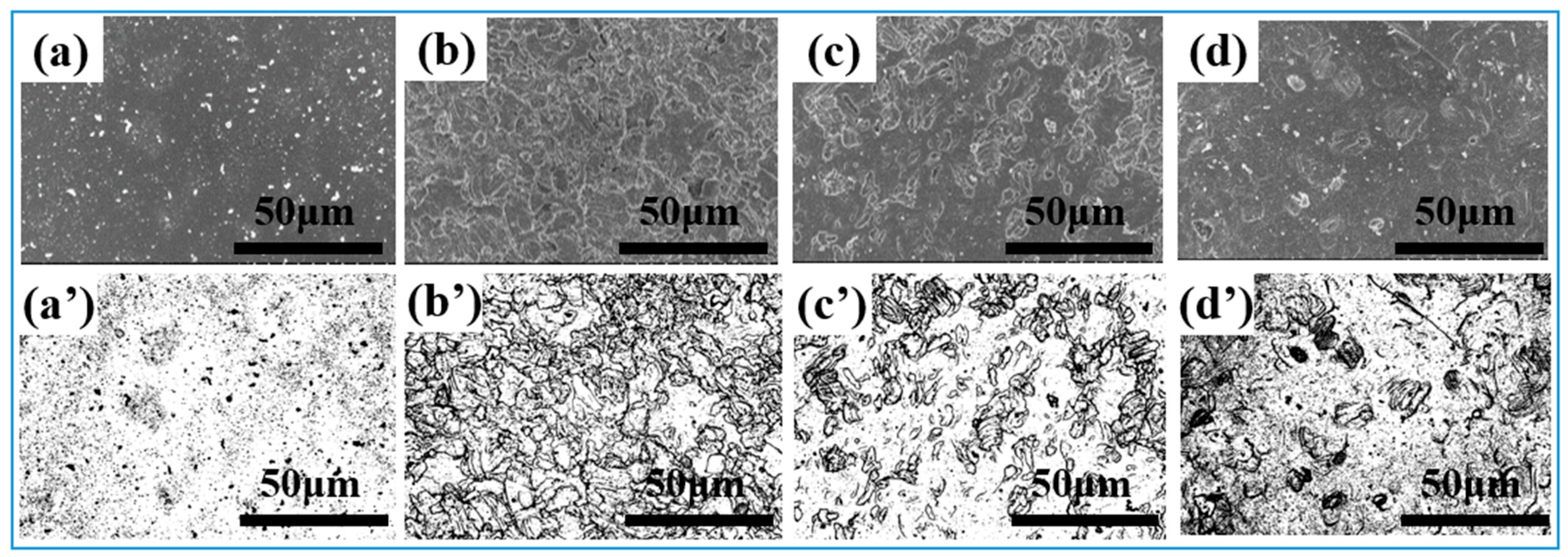 Nanomaterials 15 00340 g005