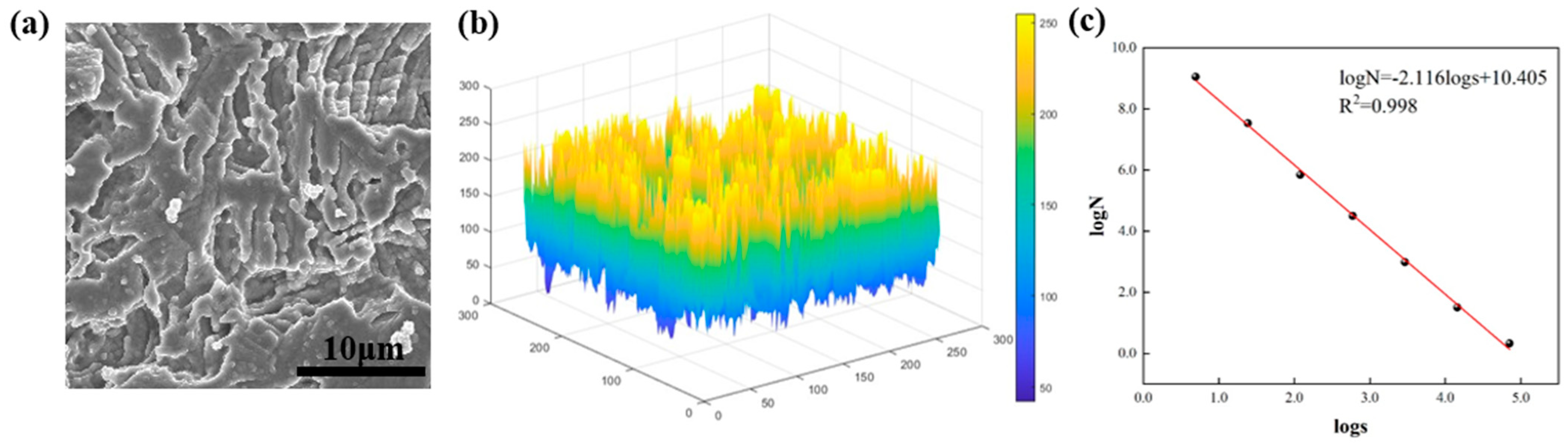 Nanomaterials 15 00340 g008