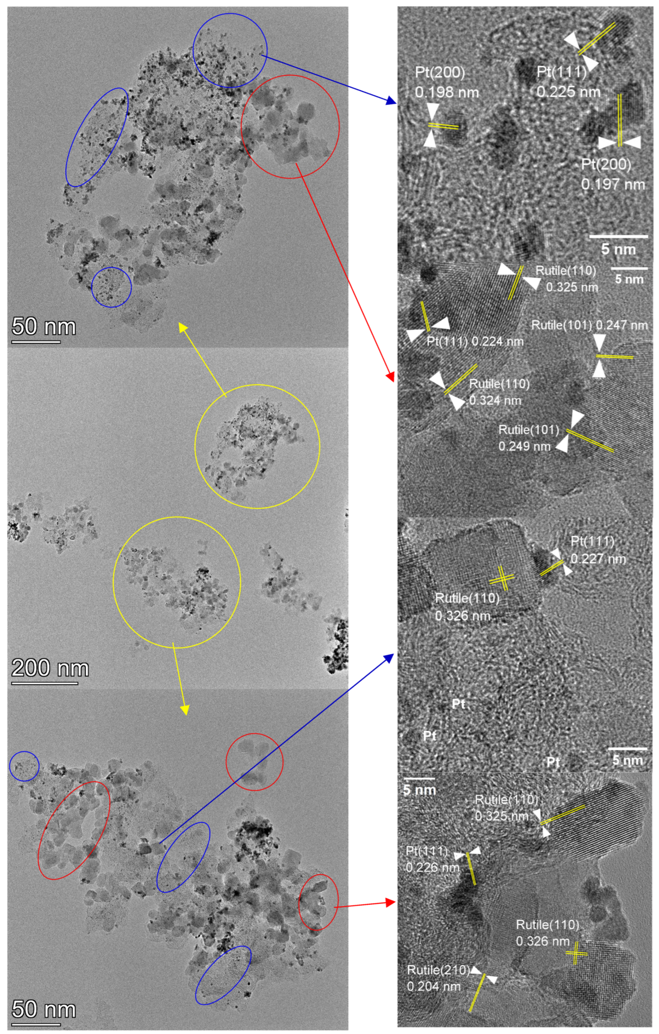 Nanomaterials 15 00342 g004