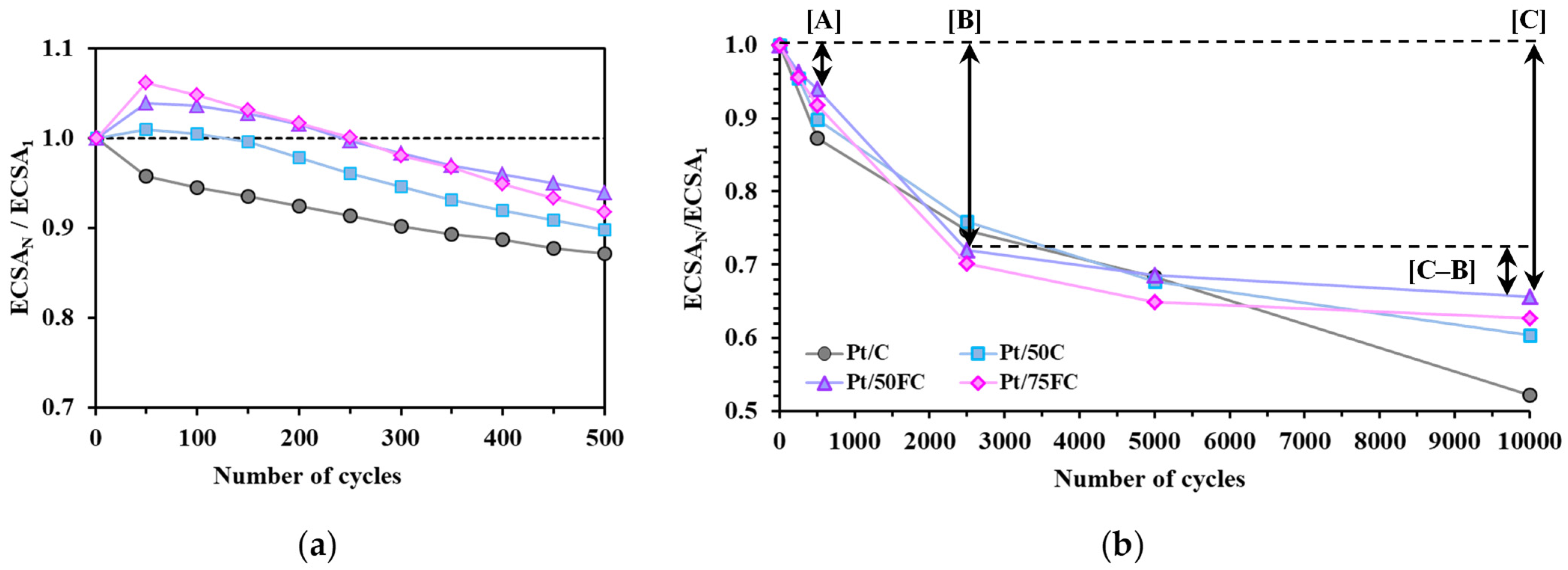 Nanomaterials 15 00342 g008