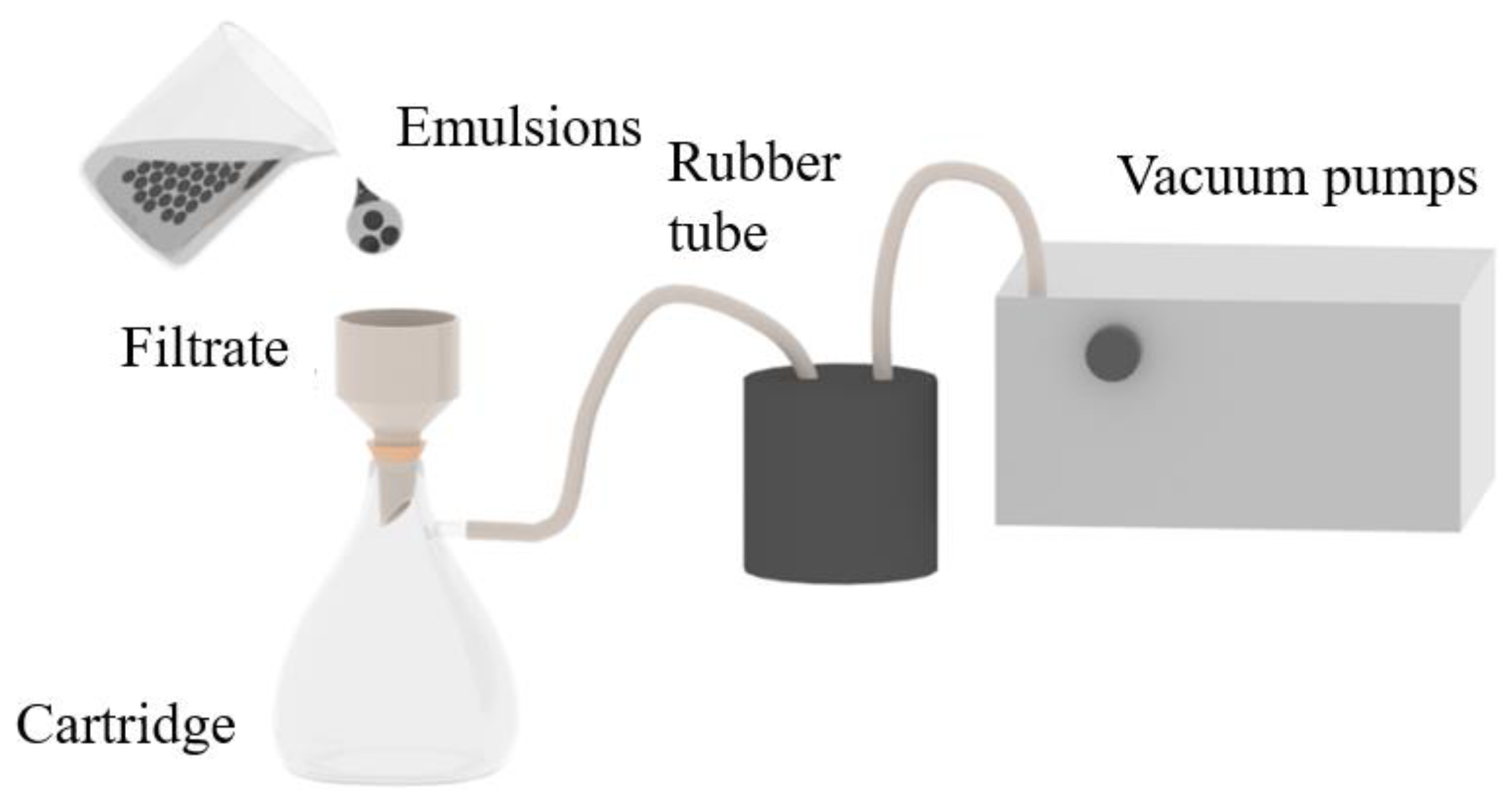 Nanomaterials 15 00344 g001