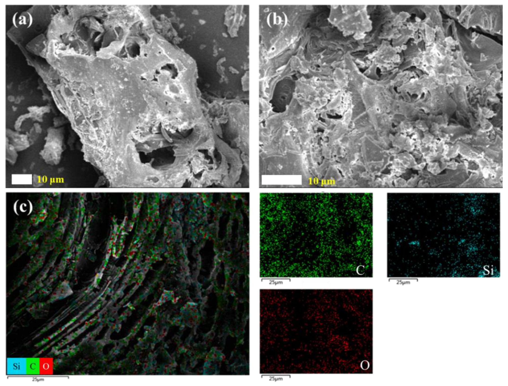 Nanomaterials 15 00344 g004