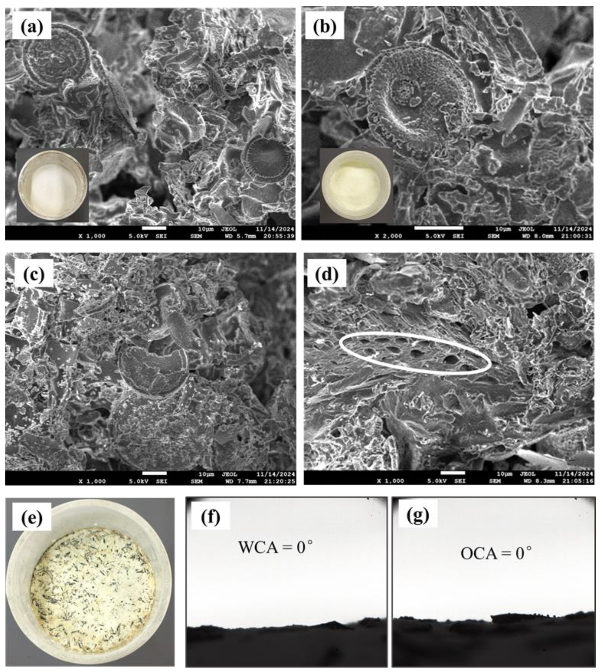 Nanomaterials 15 00344 g005