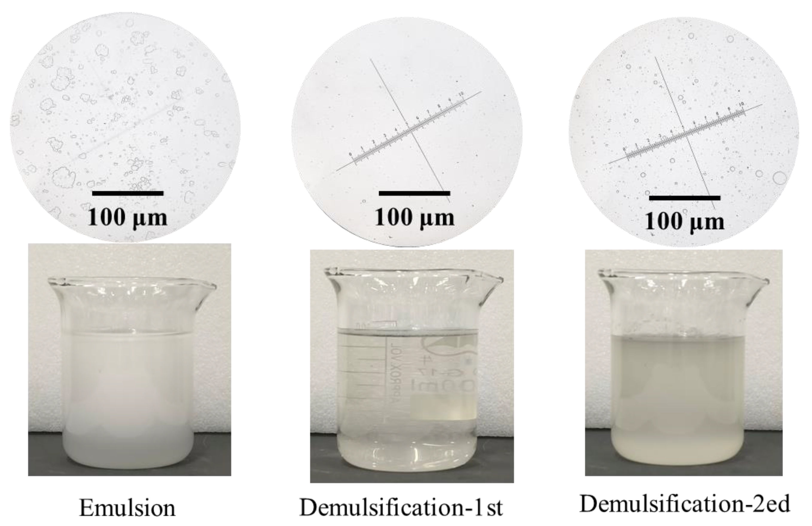 Nanomaterials 15 00344 g013