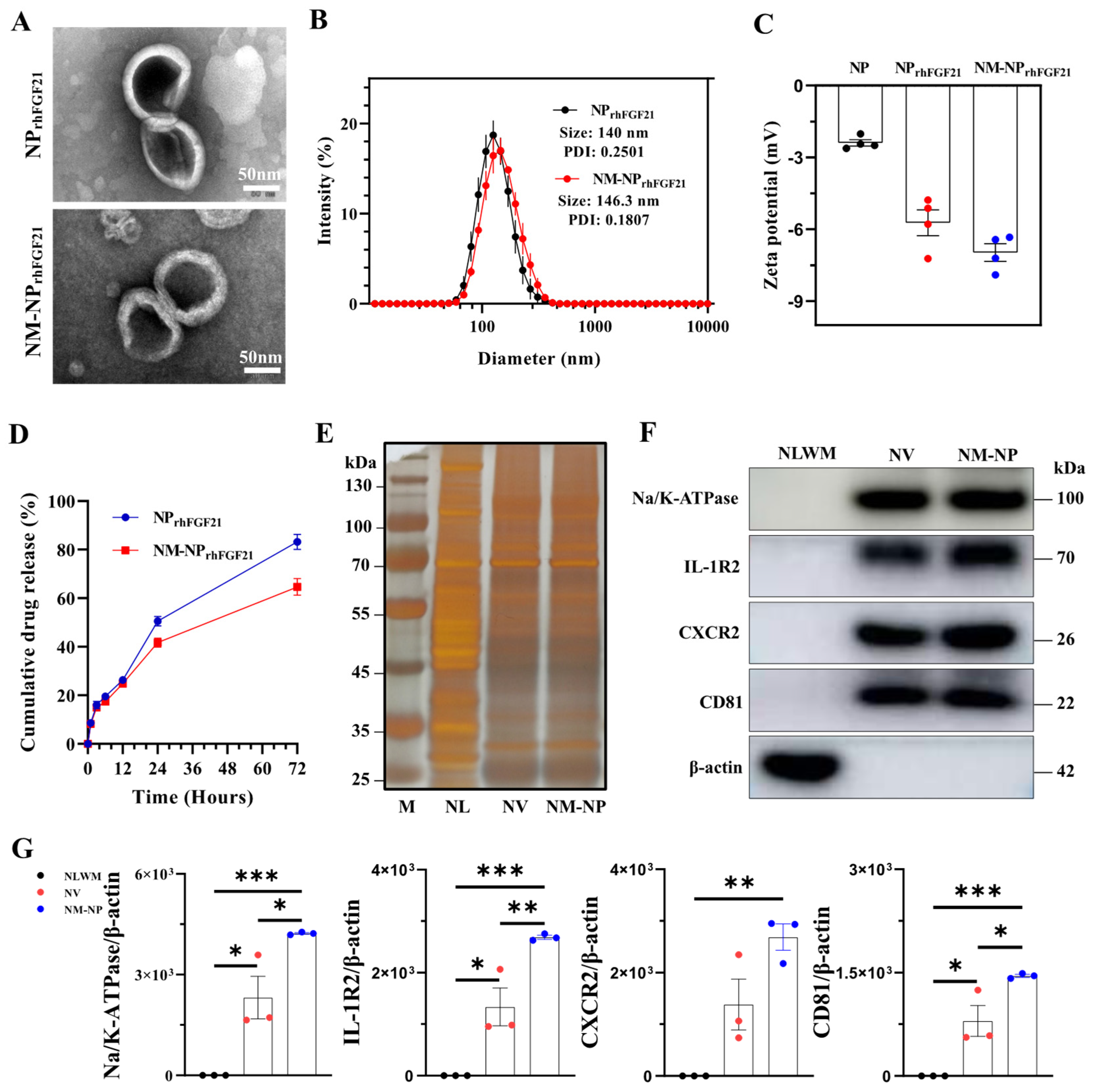 Nanomaterials 15 00346 g001