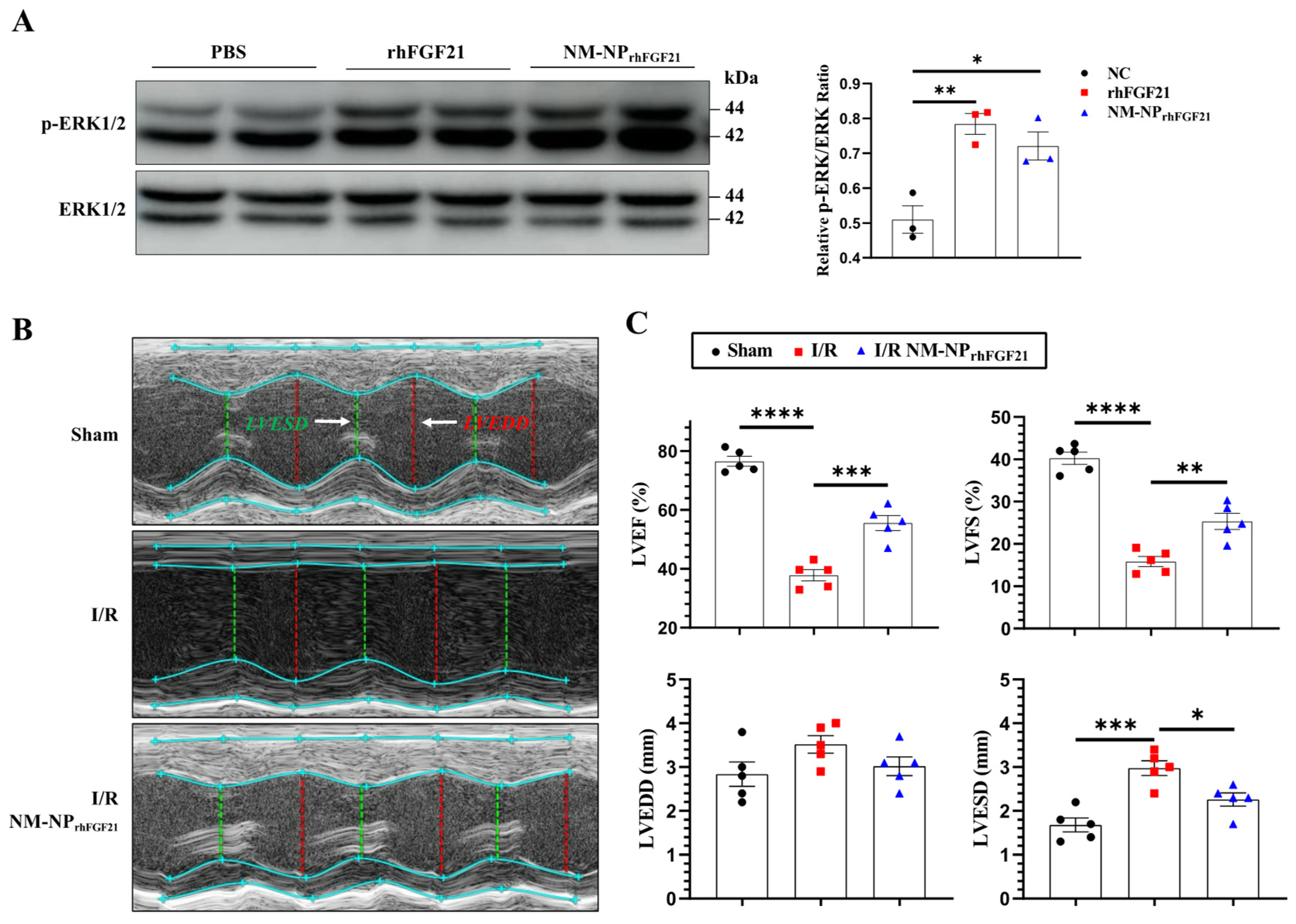 Nanomaterials 15 00346 g003