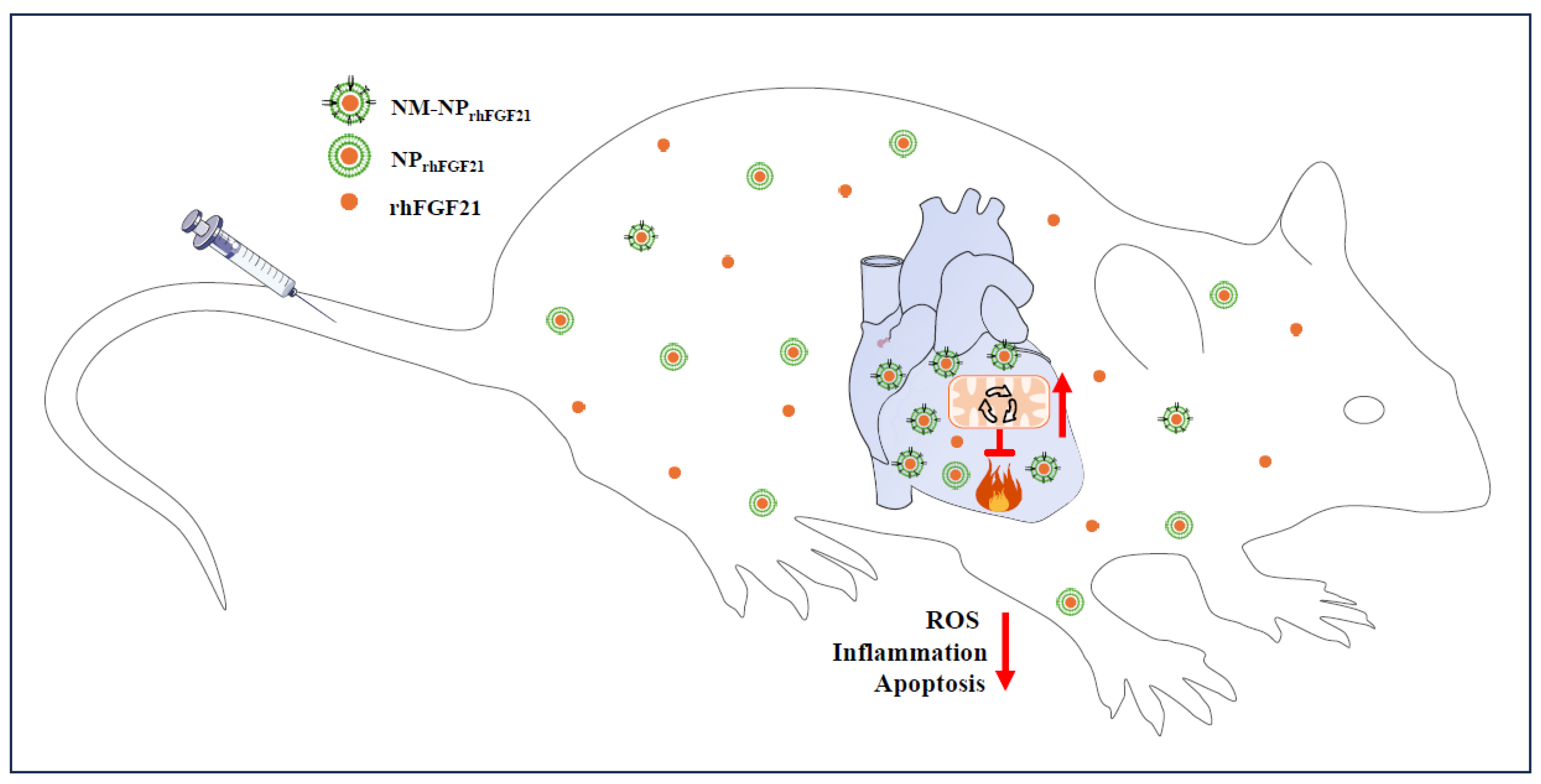 Nanomaterials 15 00346 g006