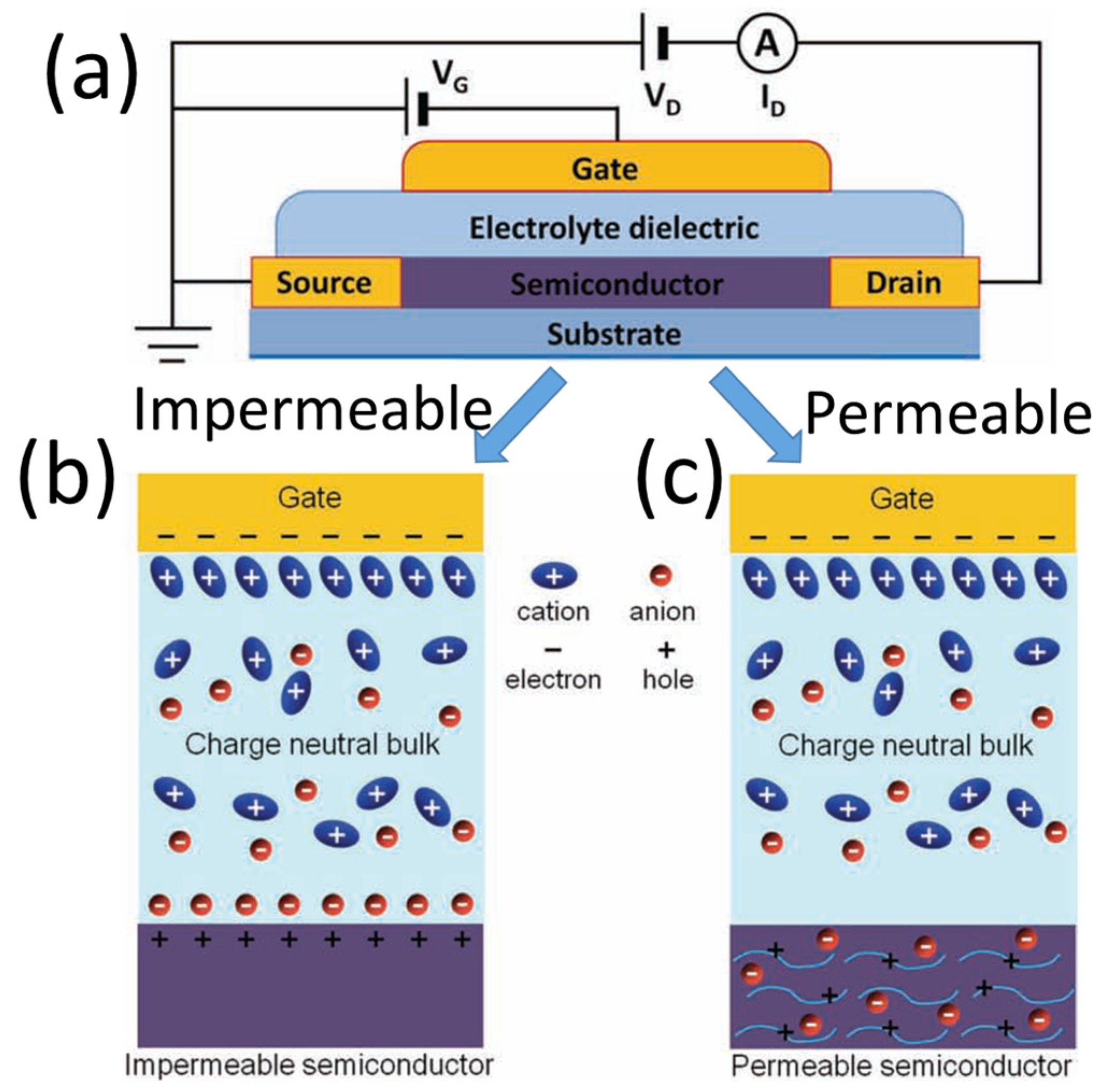 Nanomaterials 15 00348 g001