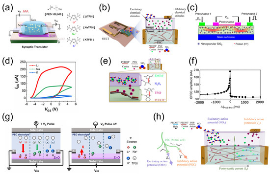 Electrolyte Gated Transistors for Brain Inspired