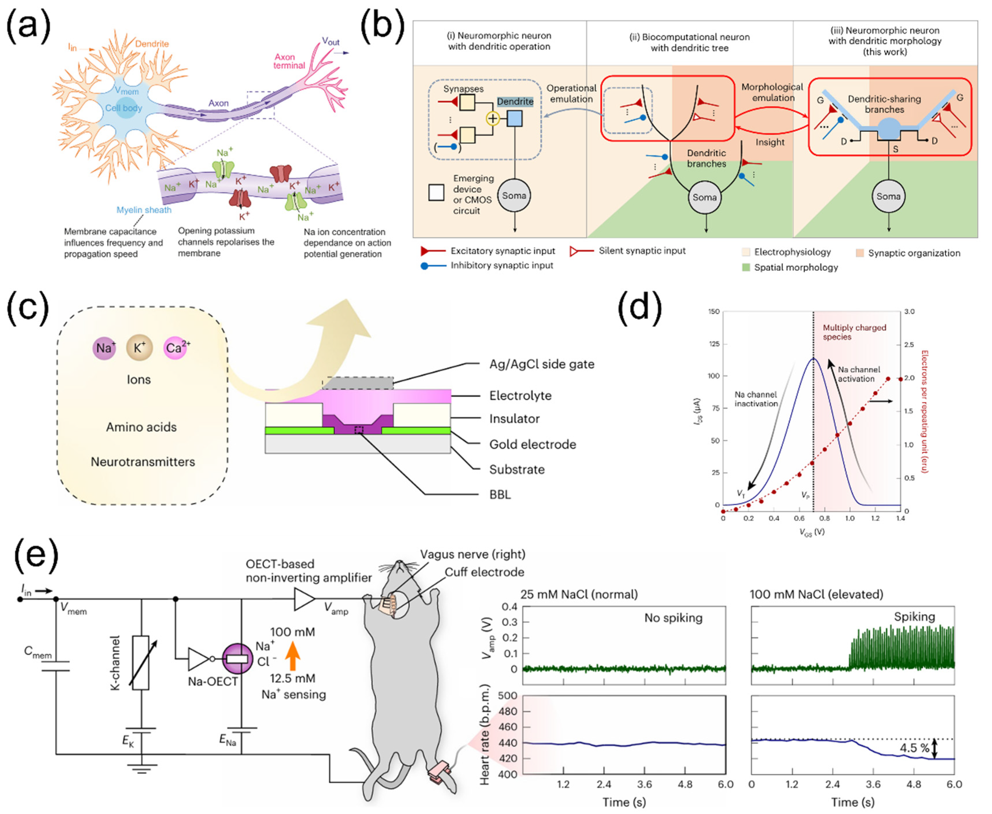 Nanomaterials 15 00348 g005