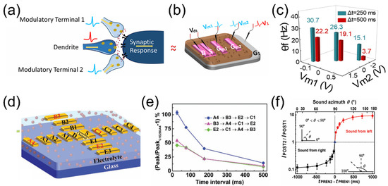 Electrolyte Gated Transistors for Brain Inspired