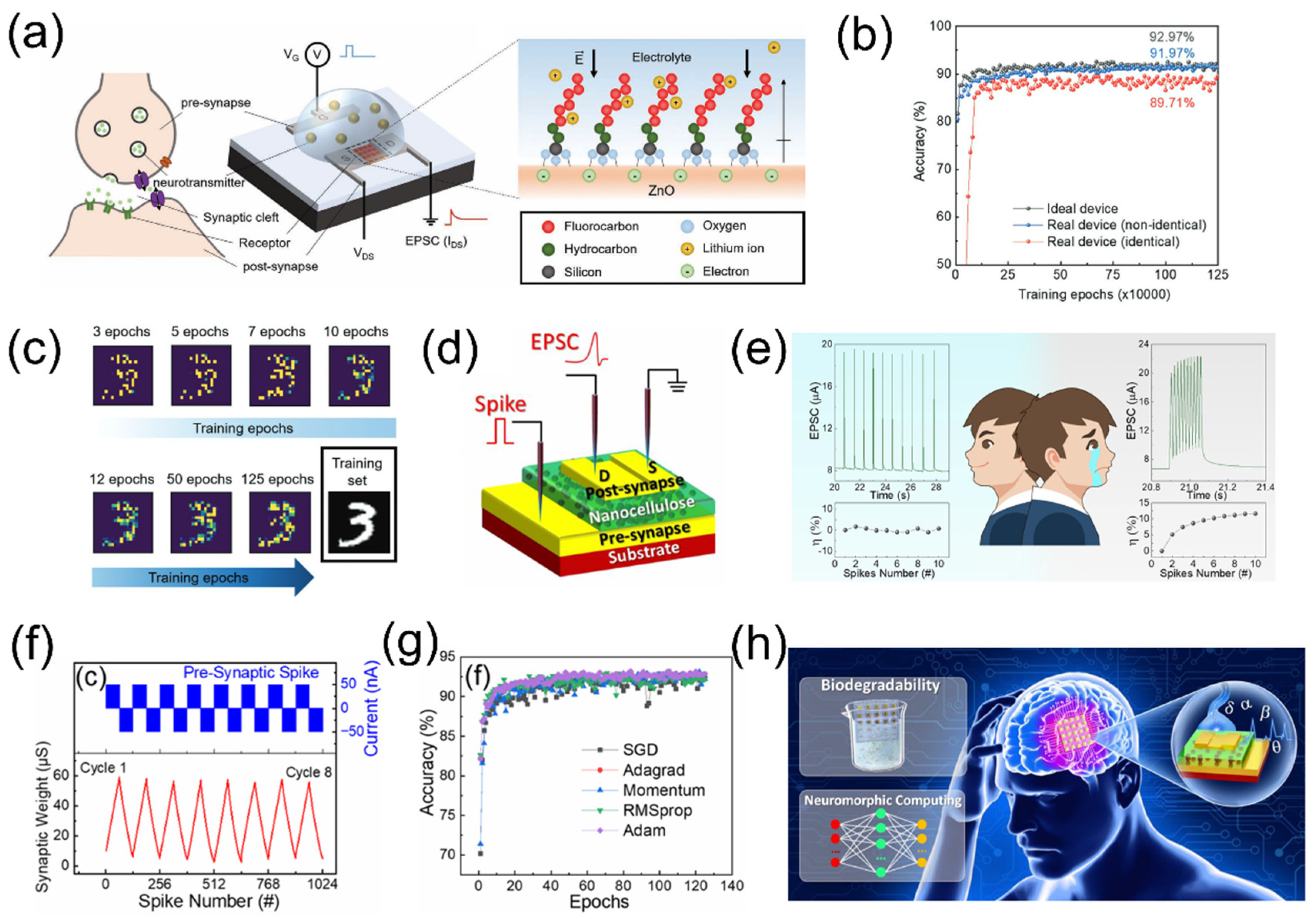 Nanomaterials 15 00348 g007