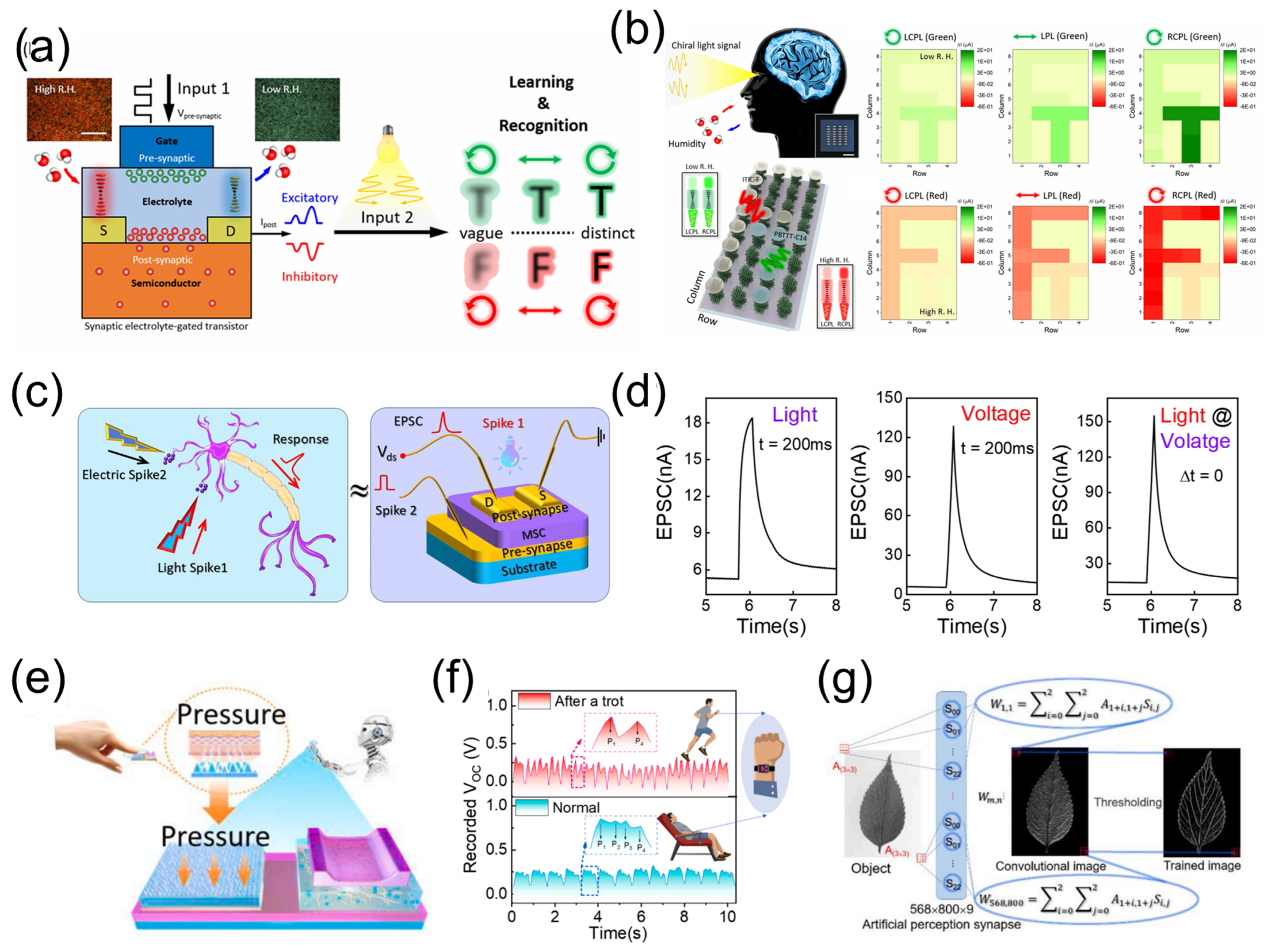 Nanomaterials 15 00348 g008