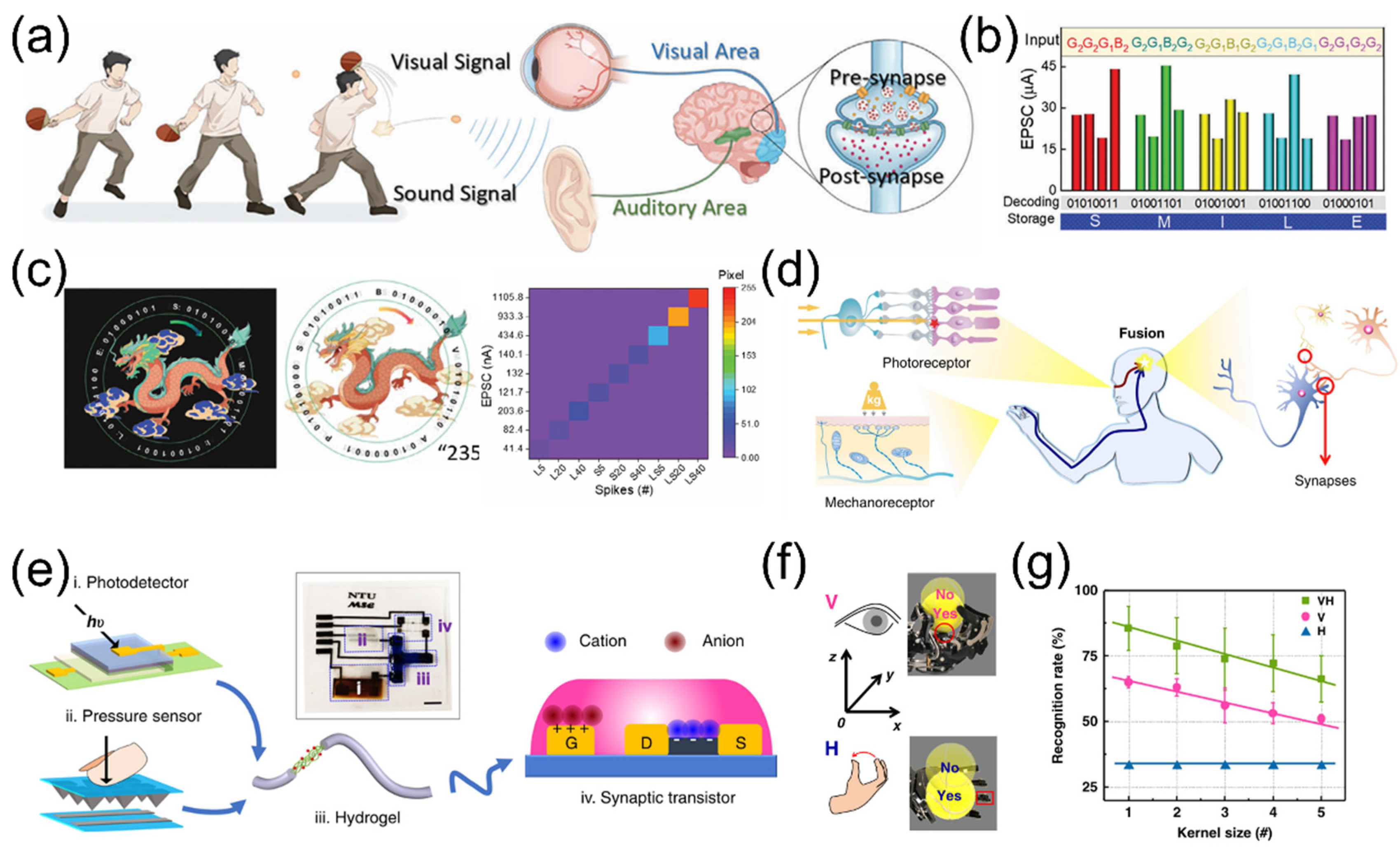 Nanomaterials 15 00348 g009