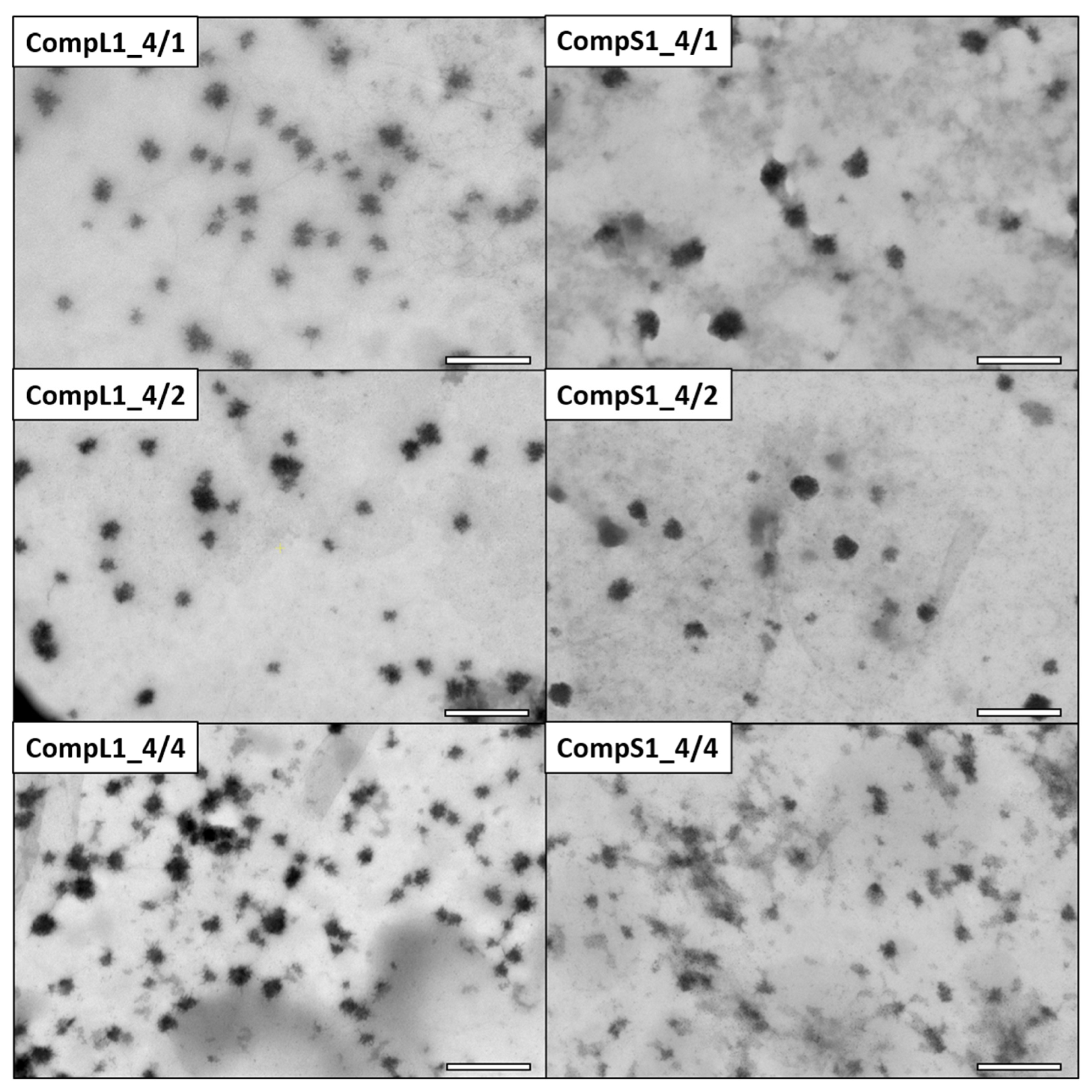 Nanomaterials 15 00350 g003